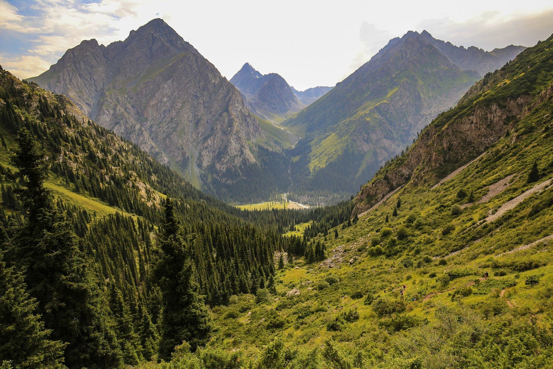 A panoramic view of a vast green valley filled with dense pine forests, nestled between towering, rocky mountain ranges under a bright sky.