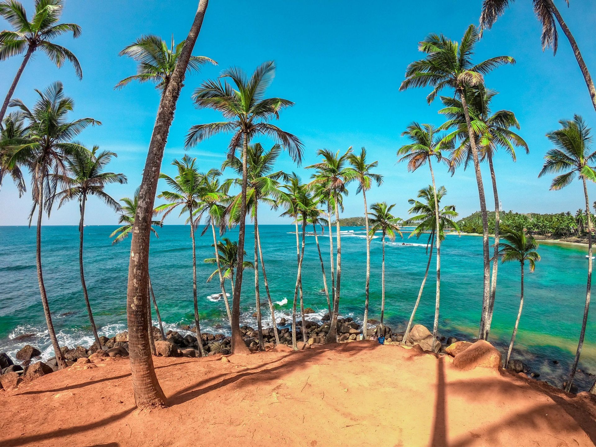 A view from a sandy, orange-colored bluff looking through tall palm trees at a turquoise ocean under a clear blue sky.