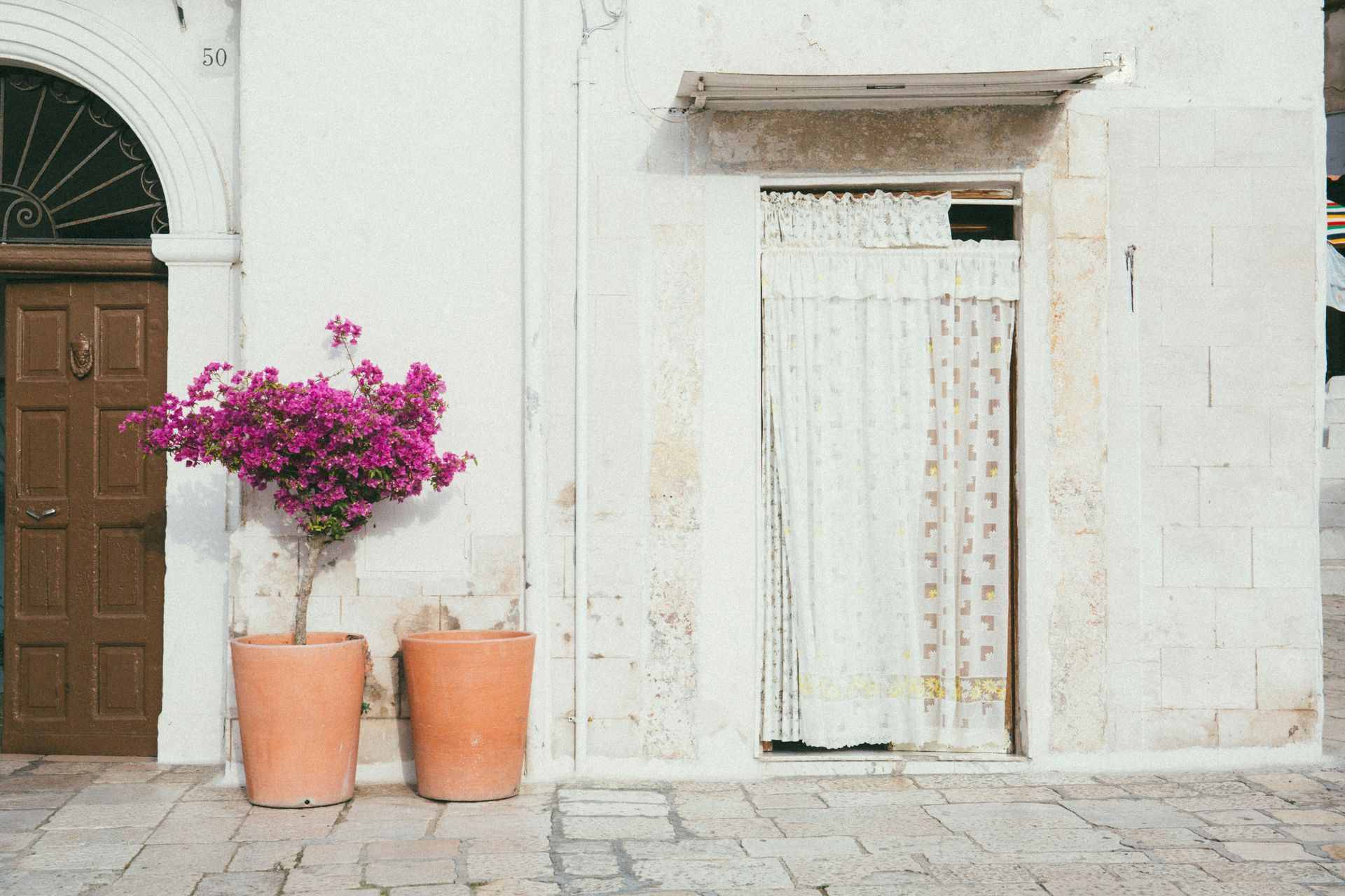 Una pianta di bougainvillea con fiori magenta in un vaso di terracotta poggia contro una facciata bianca con due ingressi su un selciato di ciottoli.