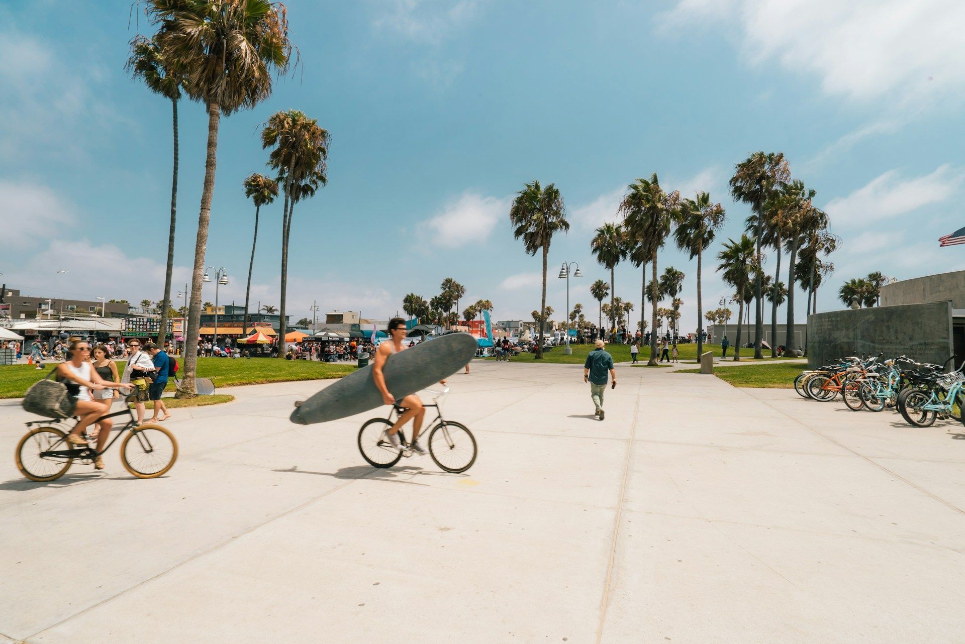 Un uomo in bicicletta trasporta una tavola da surf su una soleggiata passeggiata fiancheggiata da alte palme.