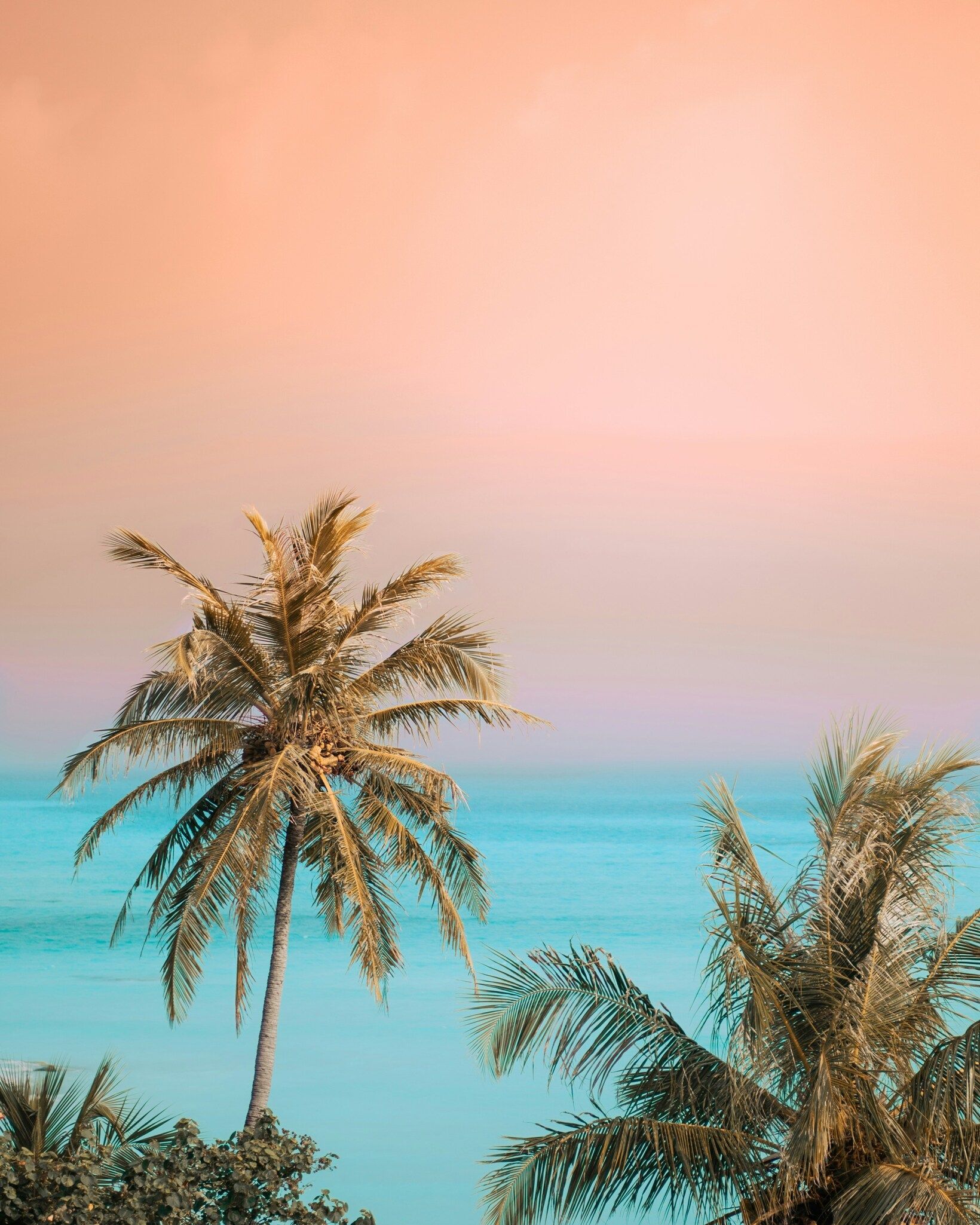 Two palm trees stand before a calm turquoise ocean under a pink and orange sky.