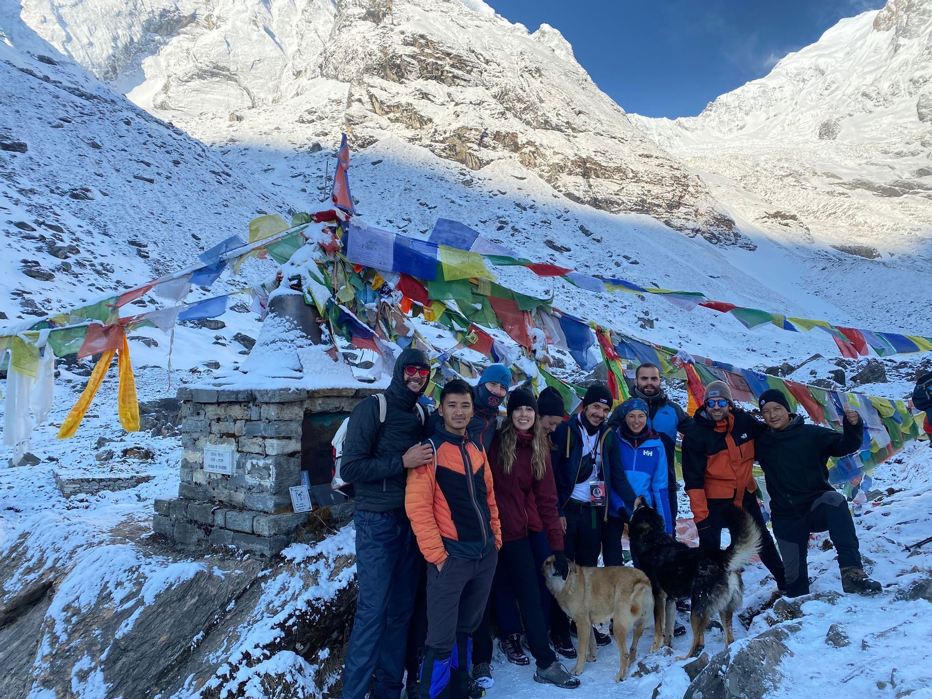 Un viaggio di gruppo WeRoad con due cani in posa per una foto accanto a un santuario con bandiere di preghiera colorate in una catena montuosa innevata.