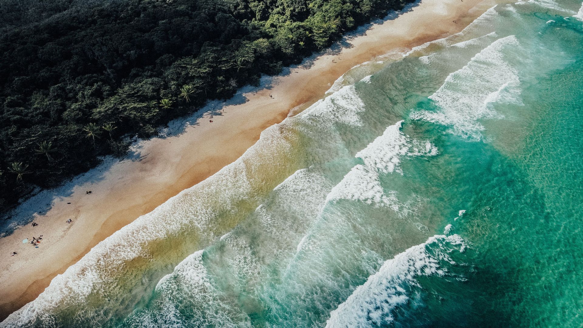 Una vista aérea de olas turquesas del mar rompiendo en una playa de arena, bordeada por un denso bosque verde.
