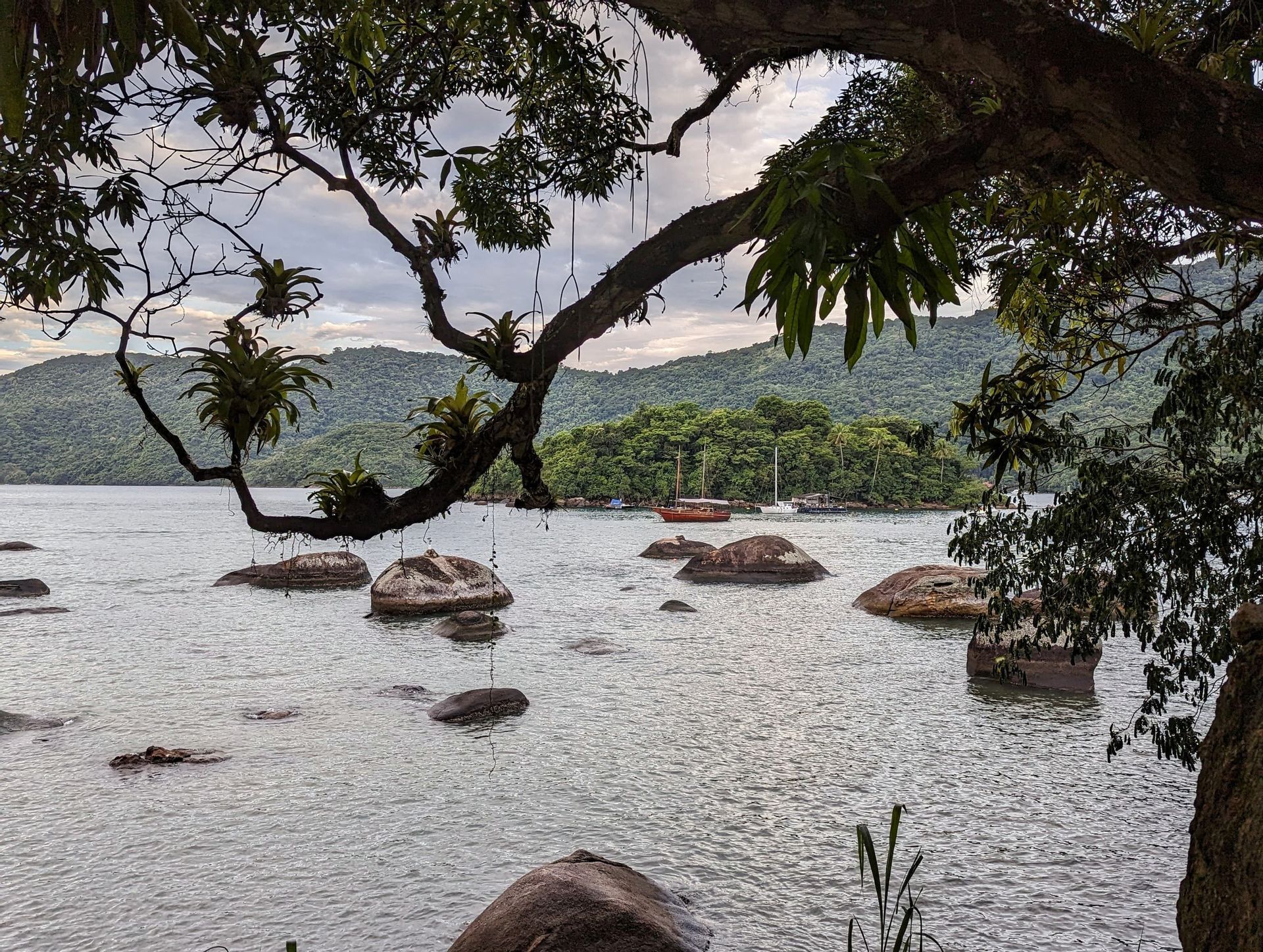Un ramo d'albero con bromelie pende su una baia con grandi massi, con barche ancorate vicino a un'isola boscosa sullo sfondo.