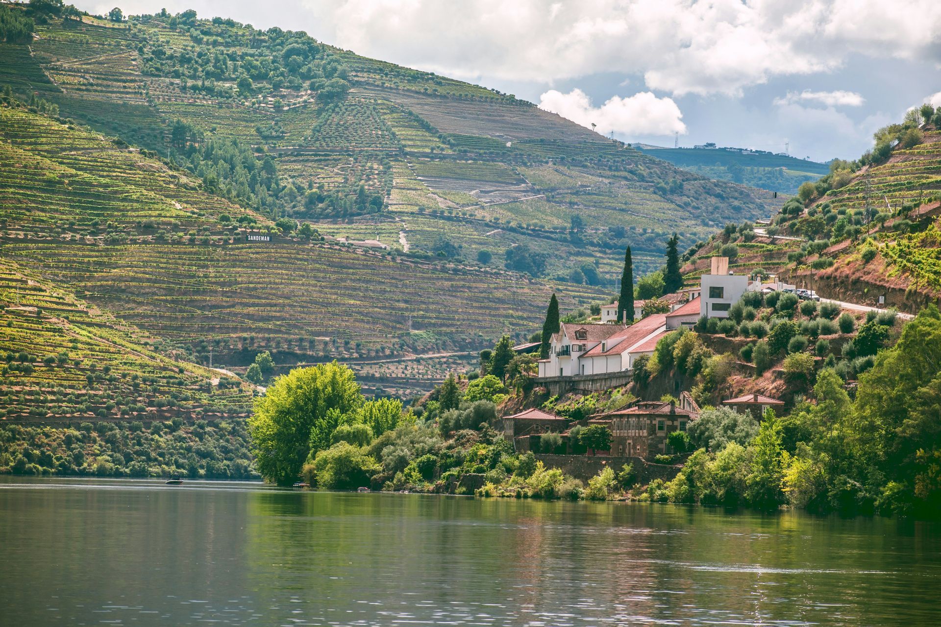Una vista su un ampio fiume verso ripidi pendii terrazzati coperti di vigneti e punteggiati da piccole case