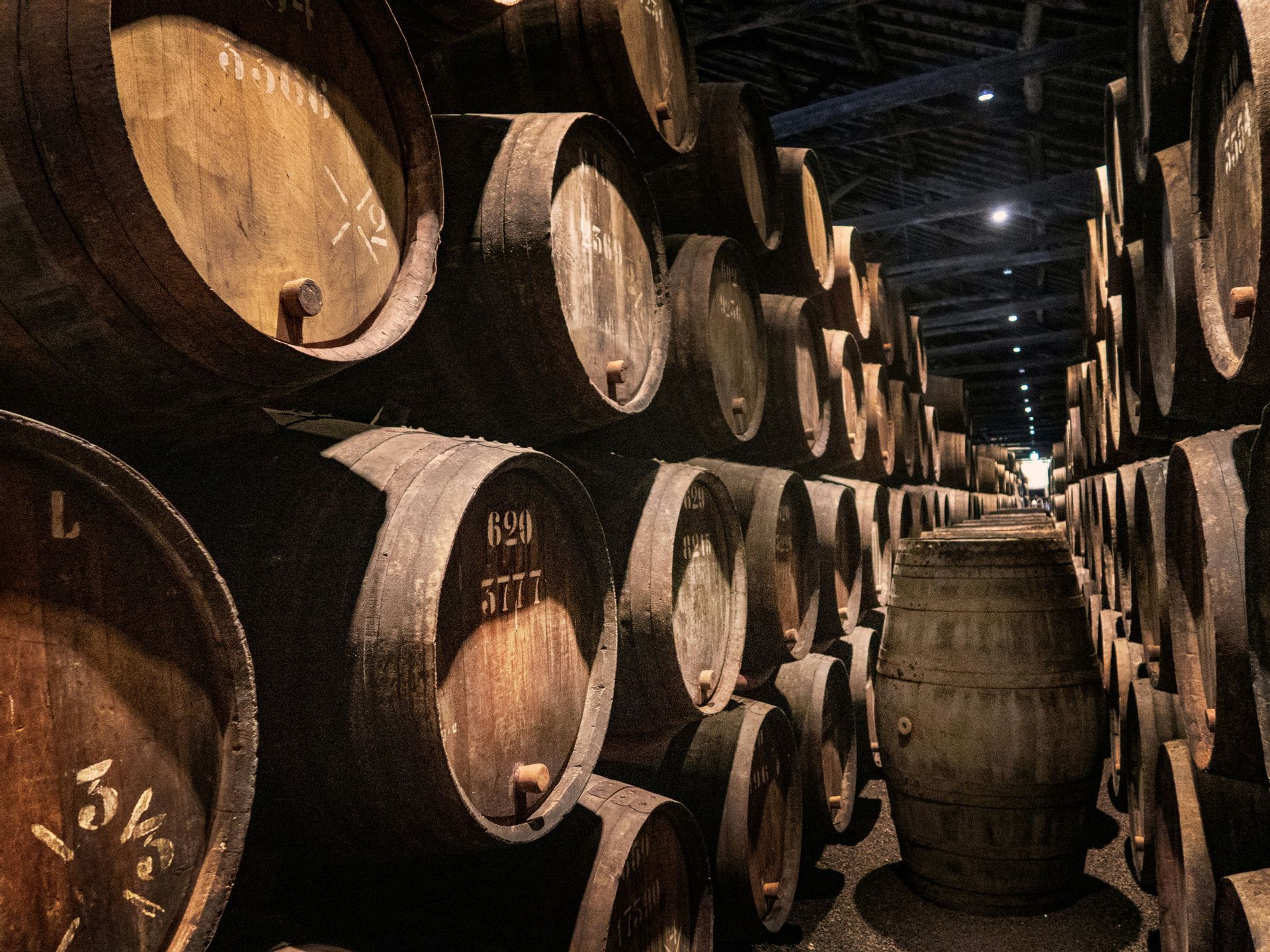 File di grandi botti di legno impilate in una lunga cantina poco illuminata.