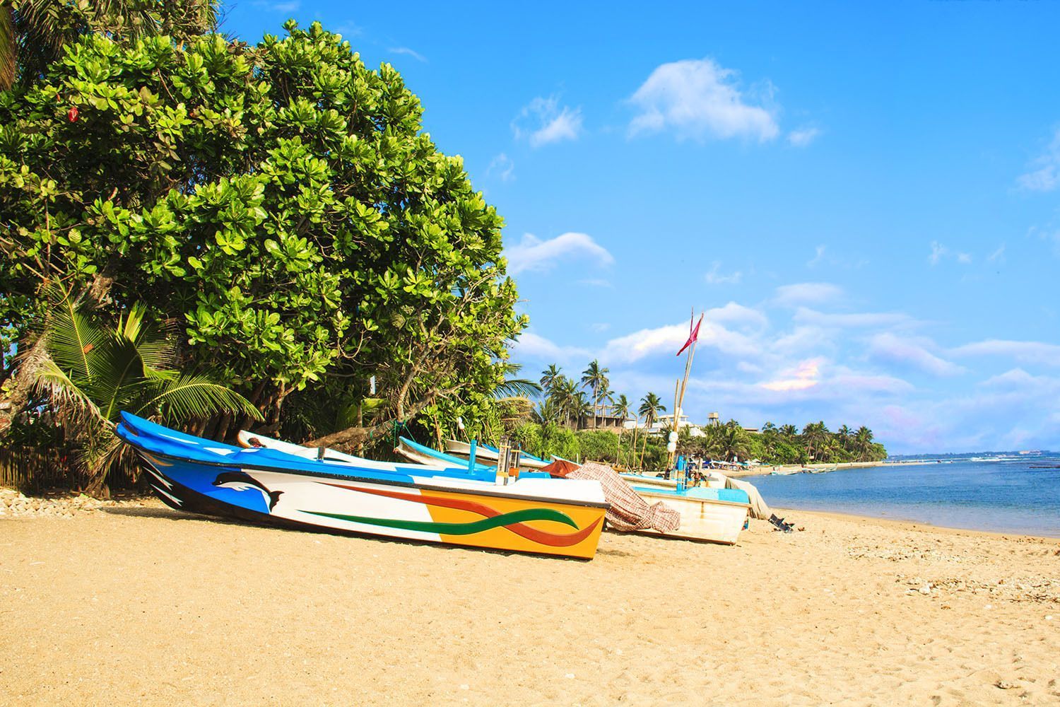 viaggio-di-gruppo-in-sri-lanka.jpg