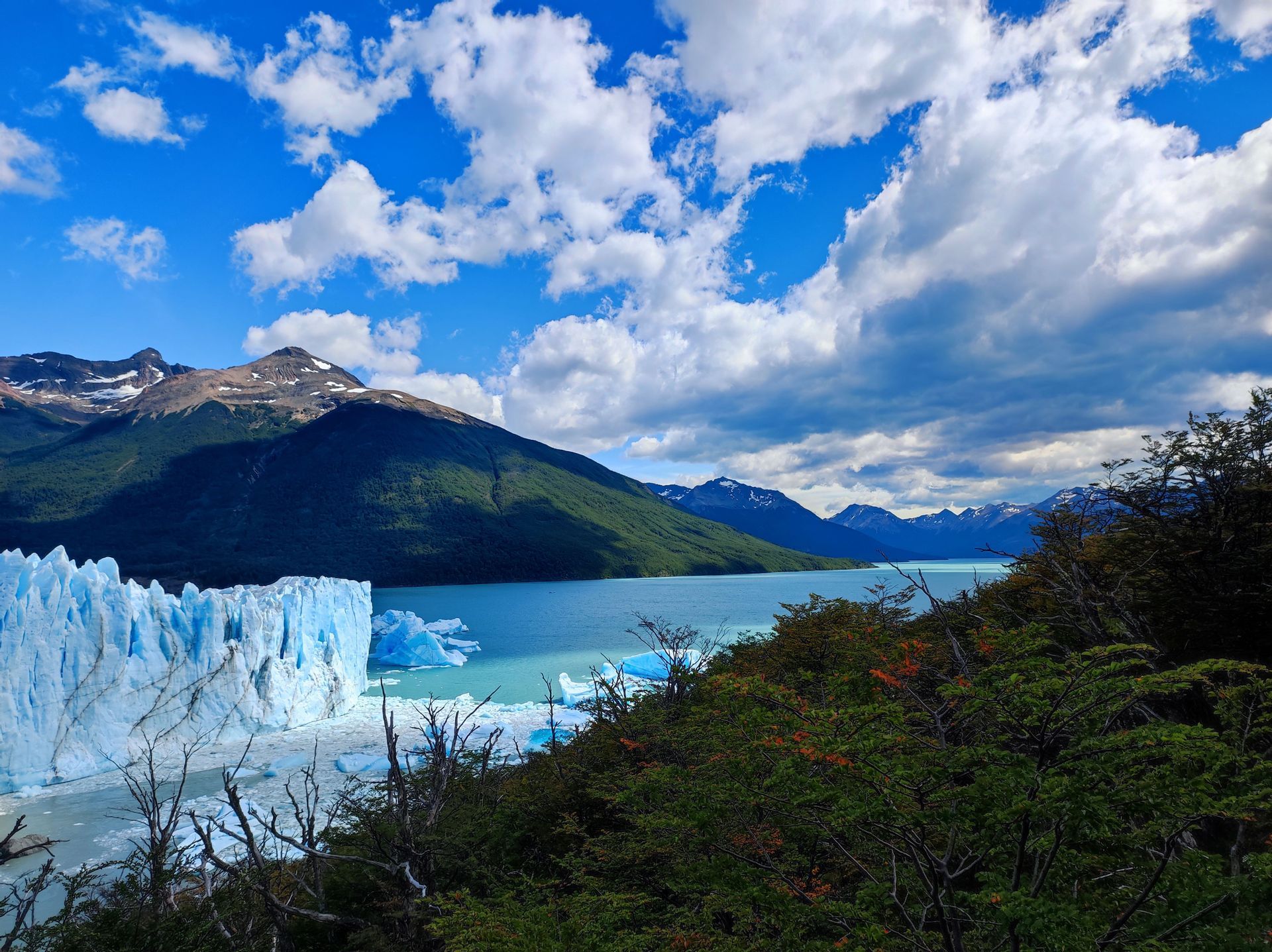 Un'immensa parete glaciale incontra un lago turchese pieno di iceberg, con montagne verdi sullo sfondo sotto un cielo azzurro nuvoloso.