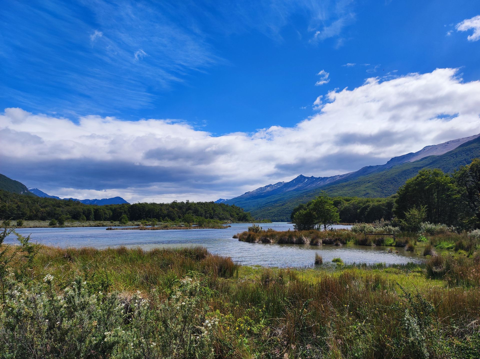 Una vista sul lago da una sponda erbosa, con foreste verdi e montagne sullo sfondo sotto un cielo azzurro parzialmente nuvoloso.