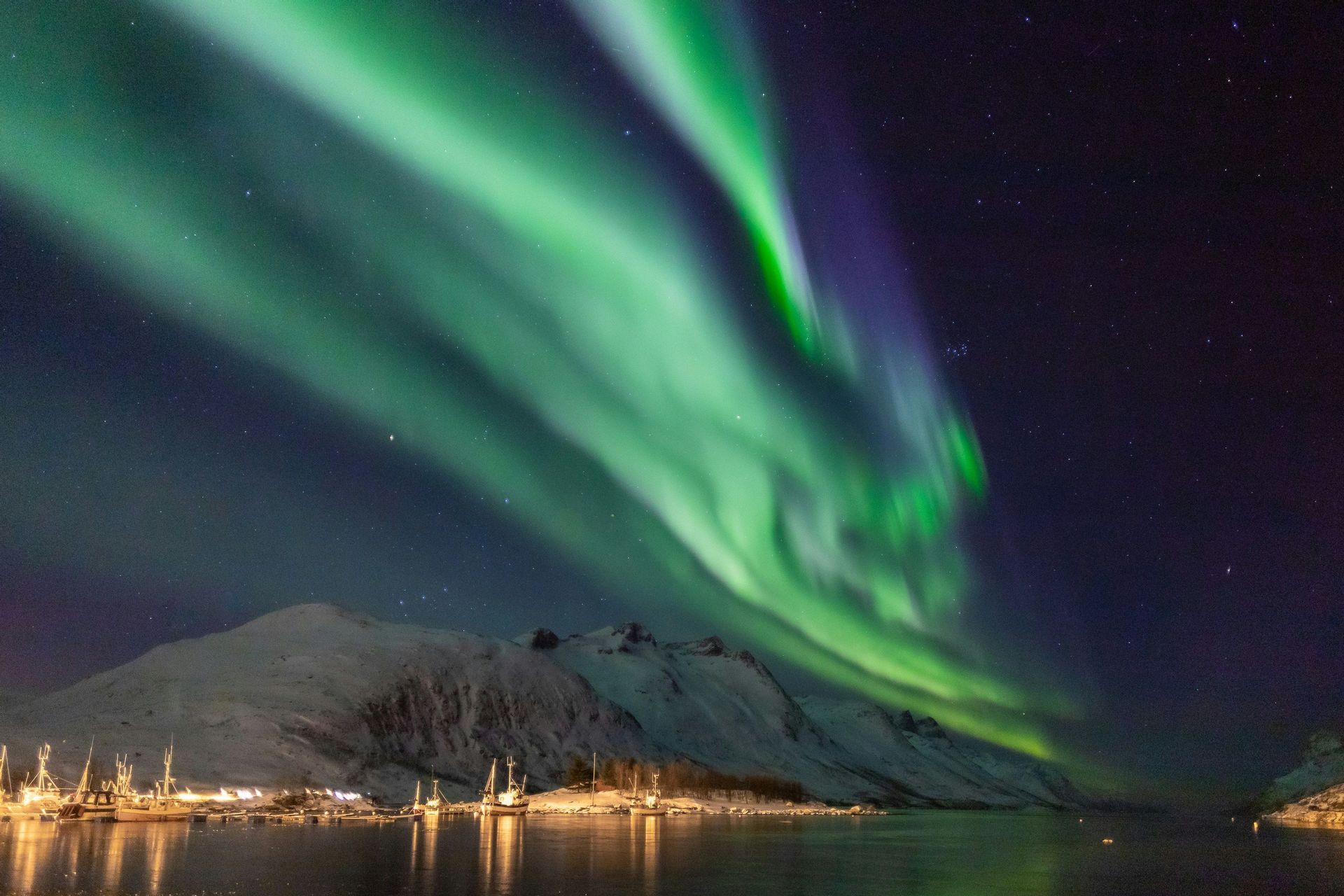 L'aurora boreale verde illumina il cielo notturno stellato sopra montagne innevate e un porto illuminato con barche.