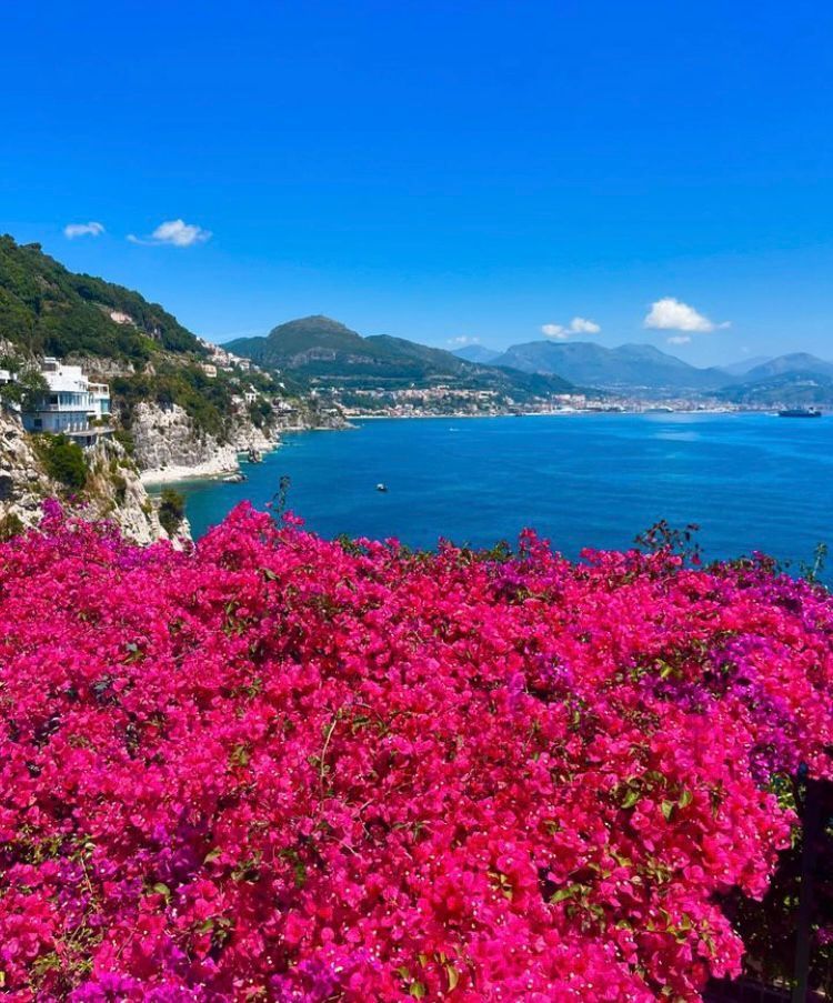 Buganvillas rosa brillante dominan un pueblo costero soleado con mar azul y montañas verdes bajo un cielo despejado.