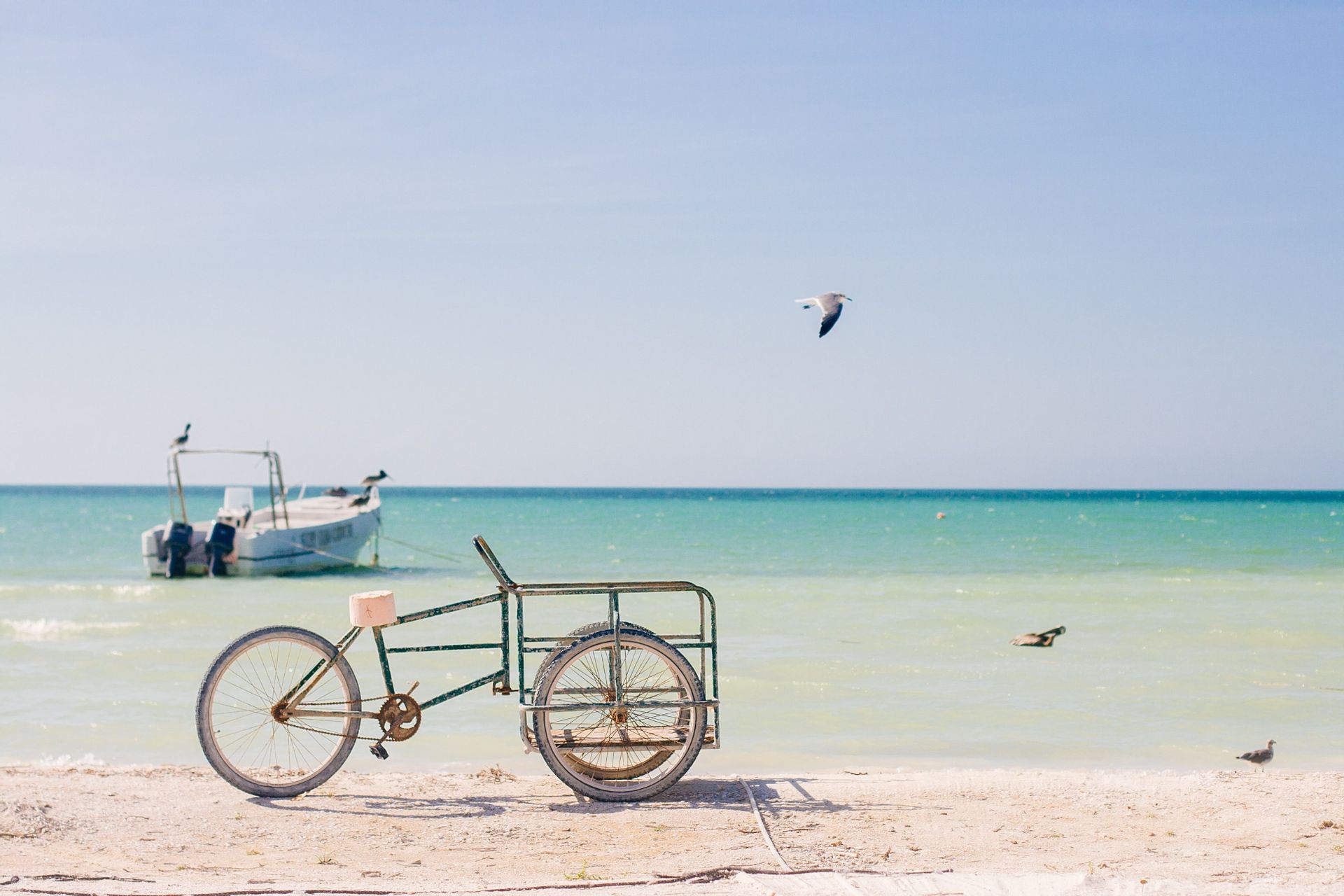 A cargo tricycle parked on a sandy beach with a boat floating in the turquoise sea and seagulls nearby.