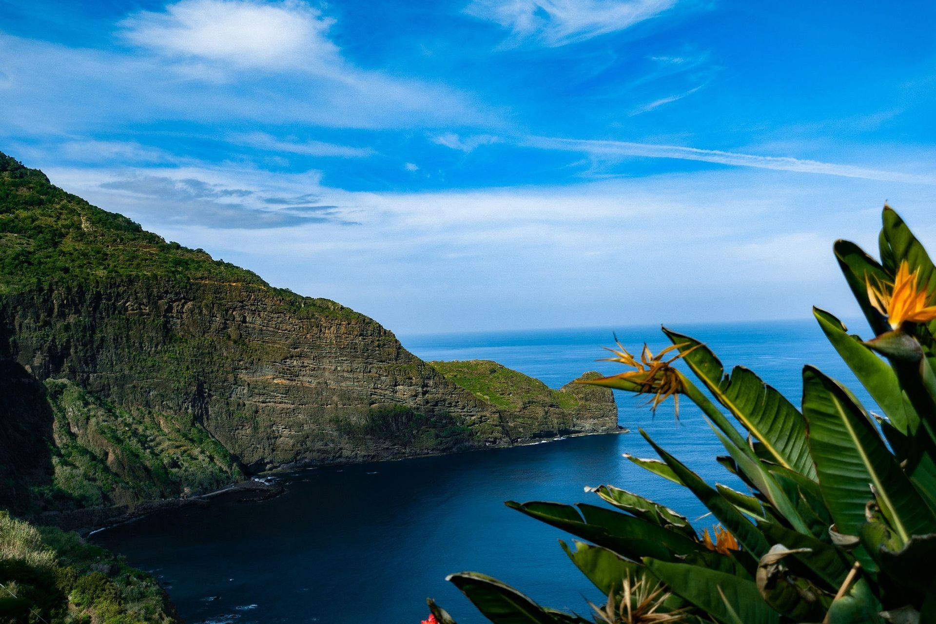 Fiori di strelitzia in primo piano dominano una ripida scogliera verde che scende nell'oceano blu sotto un cielo parzialmente nuvoloso.