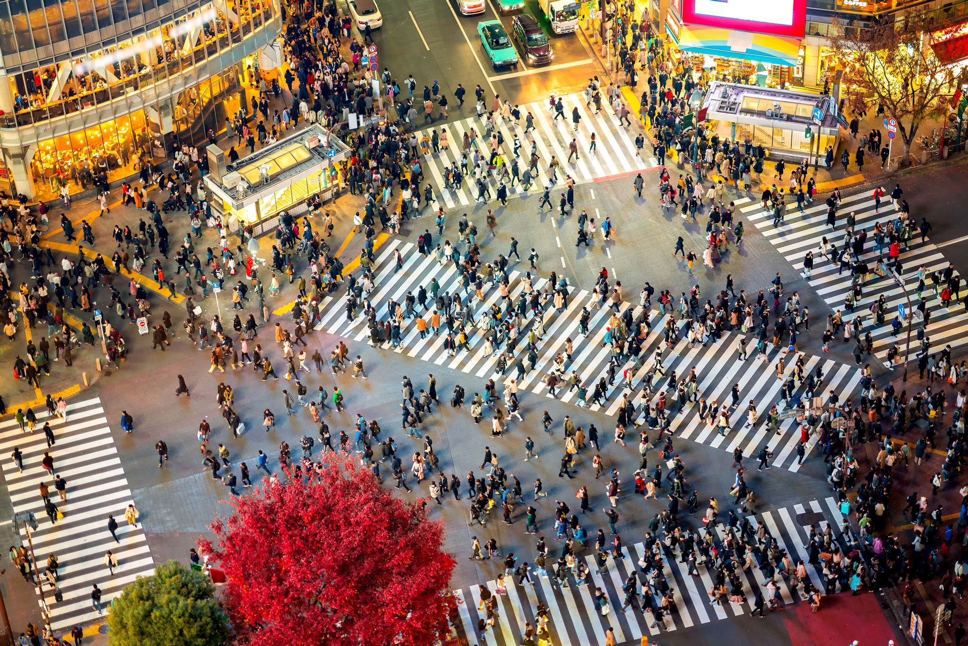 An aerial view of a large crowd of people crossing a busy, illuminated city intersection at night.