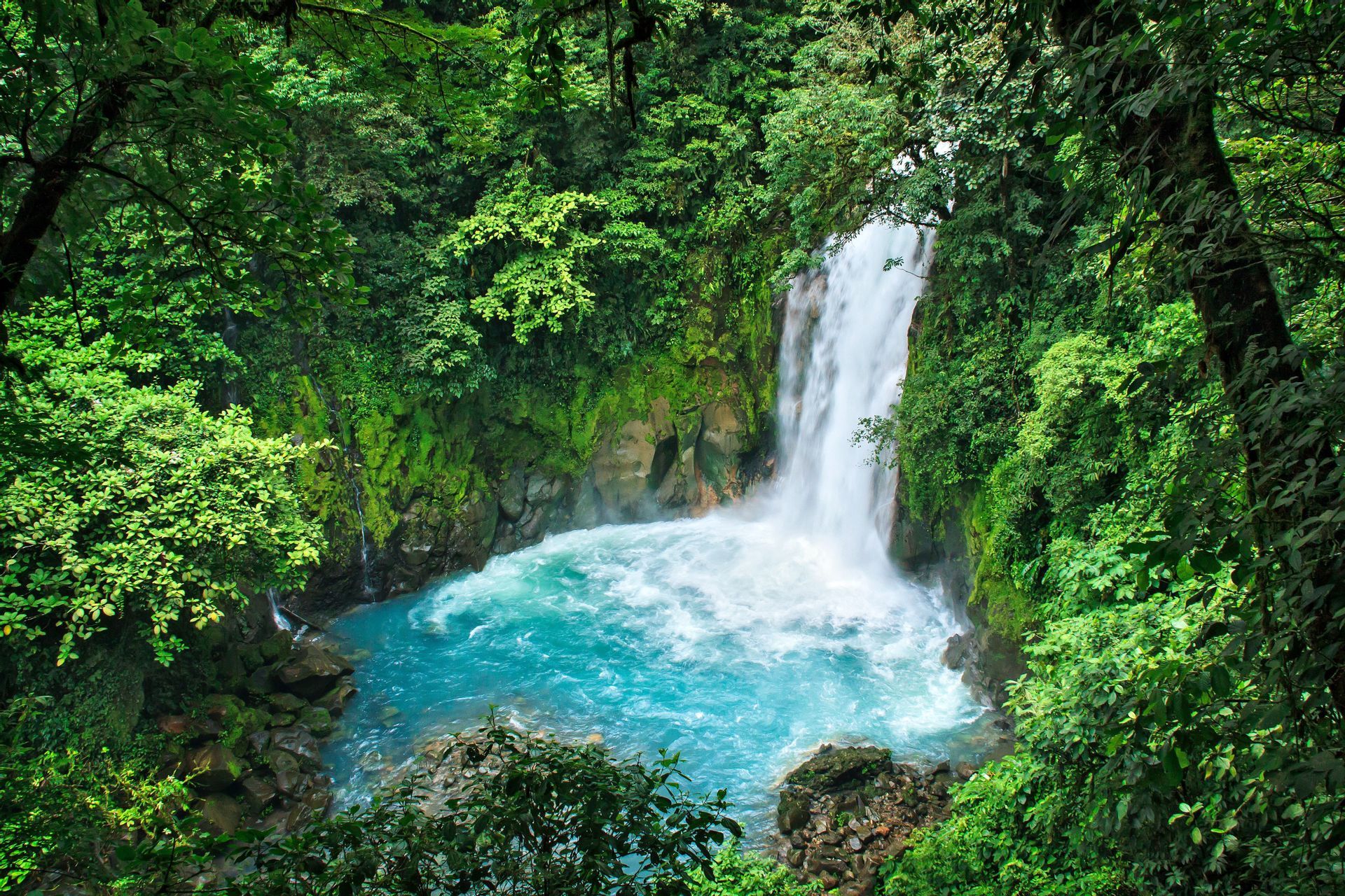 Una cascata si getta in una pozza turchese, circondata da una lussureggiante foresta pluviale.