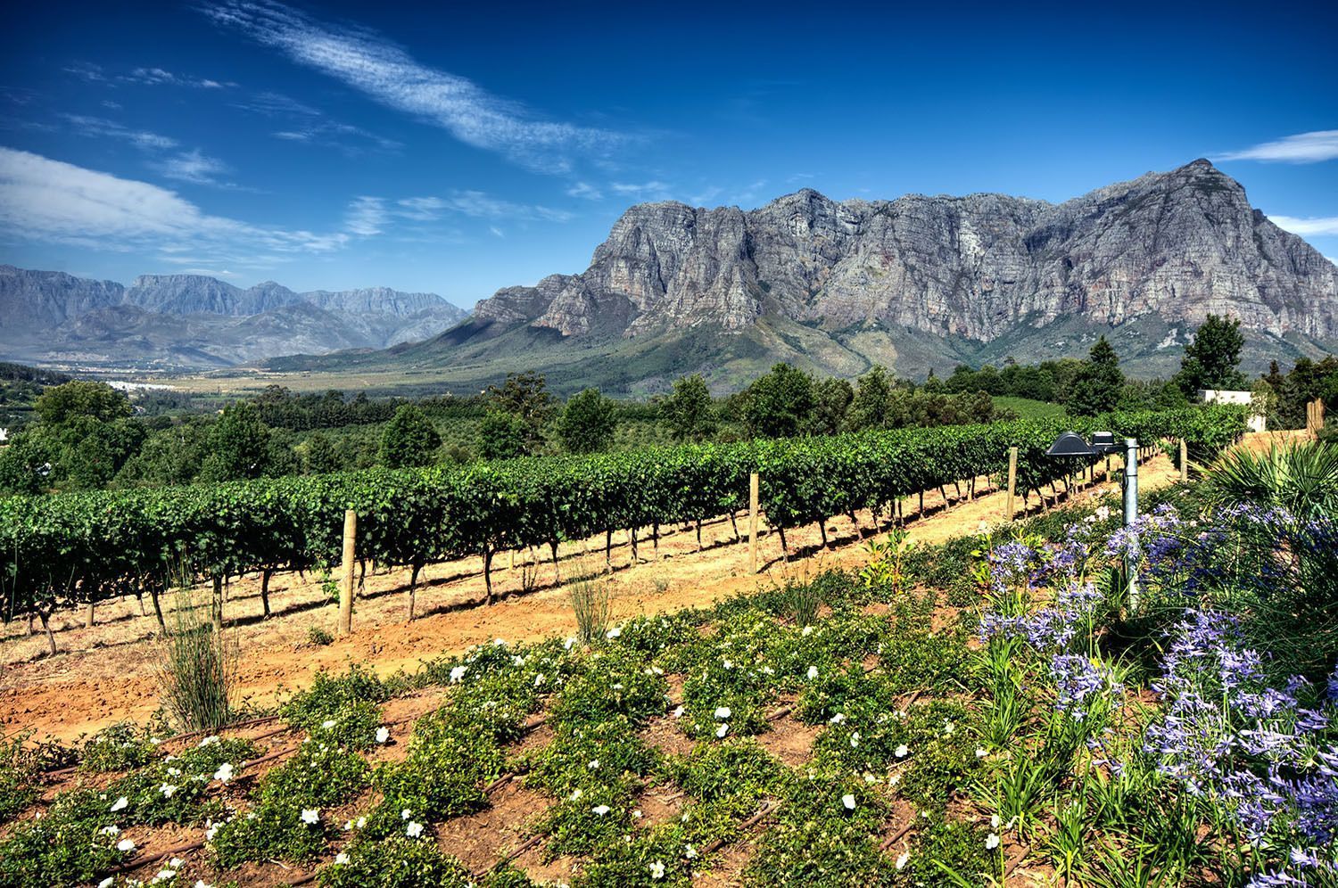 Scopri il Sudafrica con WeRoad: un tour di 13 giorni da Cape Town al Kruger National Park!