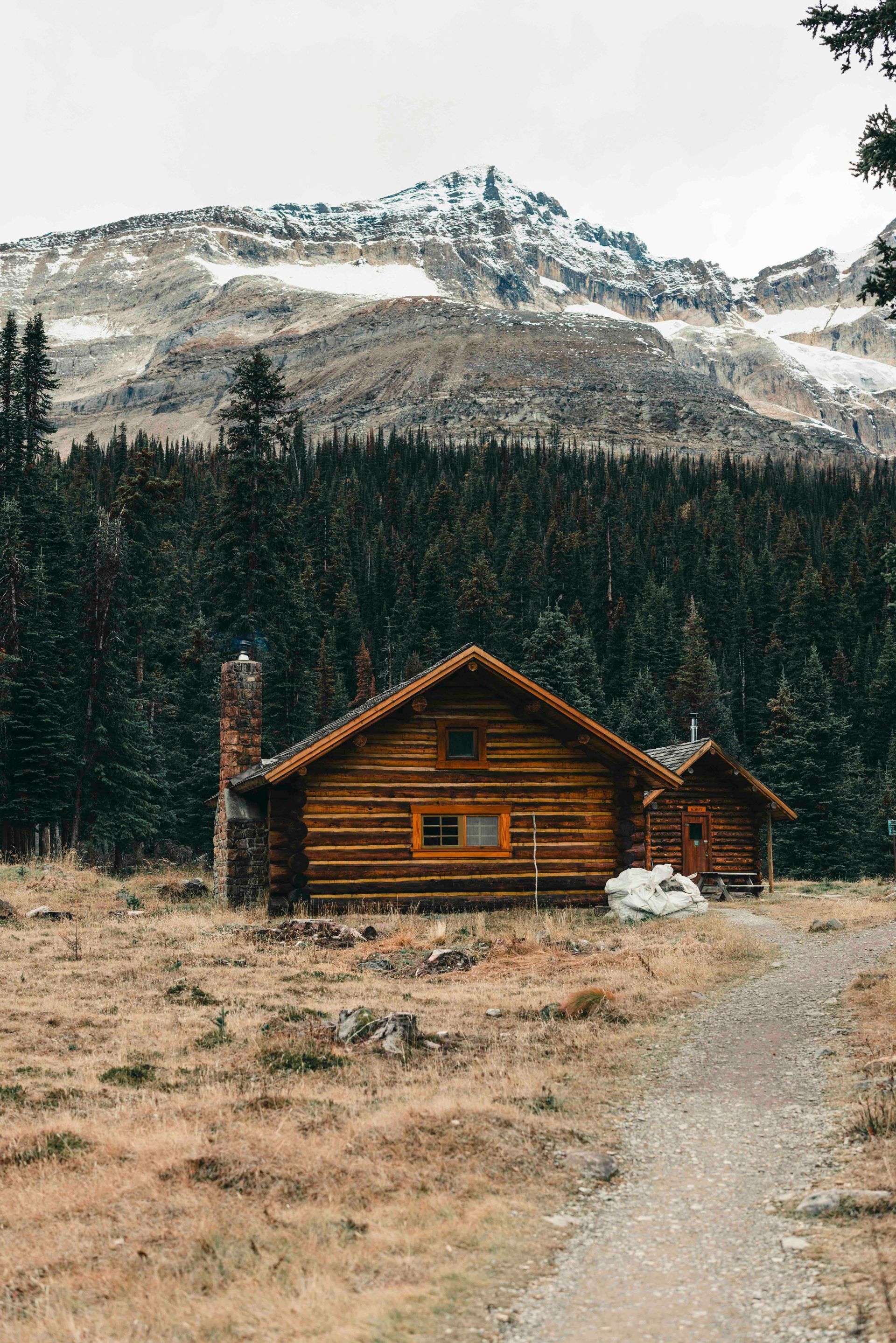 Una baita rustica con camino in pietra si trova in una radura, di fronte a una fitta pineta e a una montagna innevata.