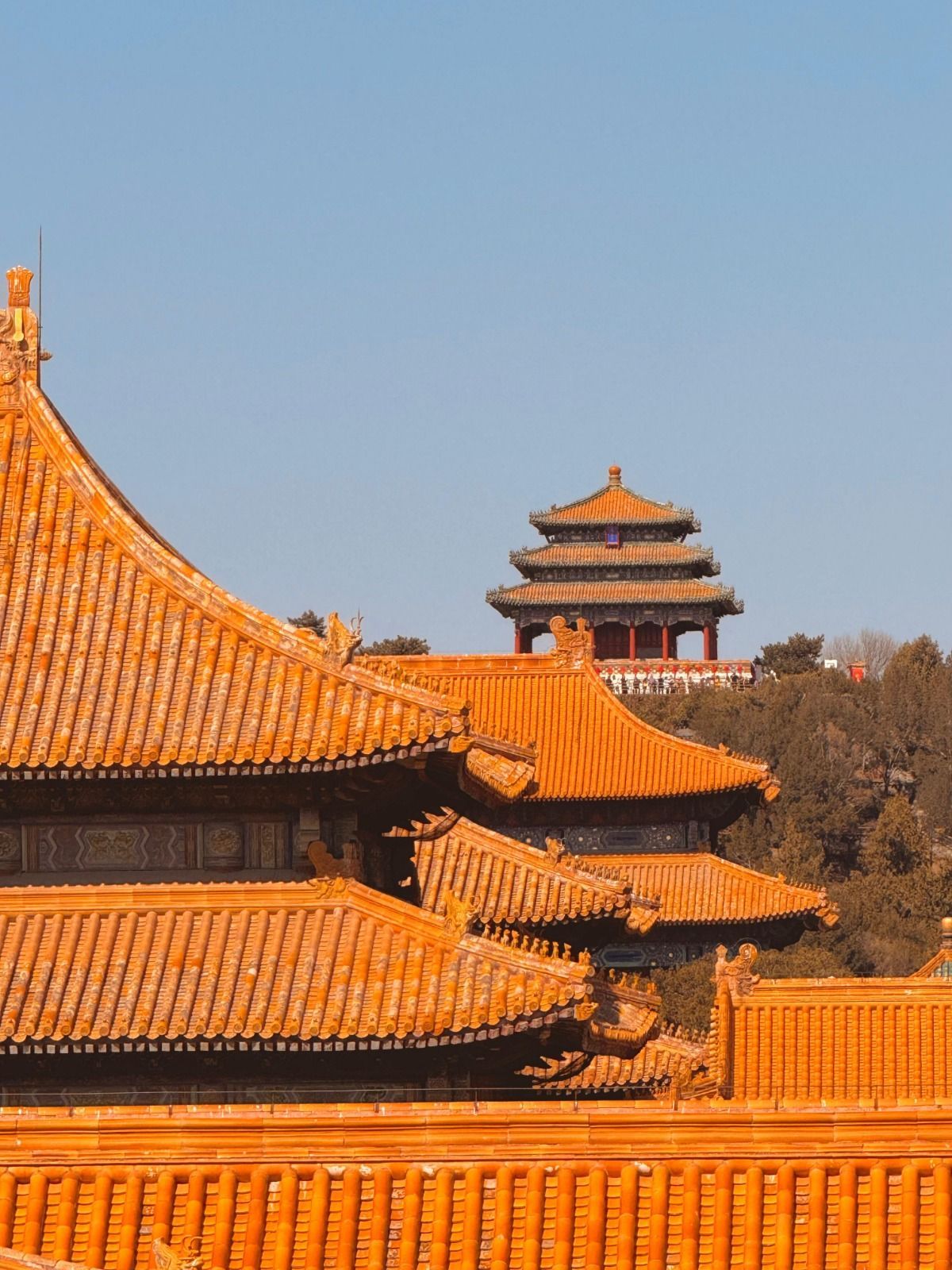 Tetti stratificati in tegole arancioni di un tradizionale complesso di templi cinesi, con una pagoda visibile su una collina alberata in lontananza, sotto un cielo sereno.