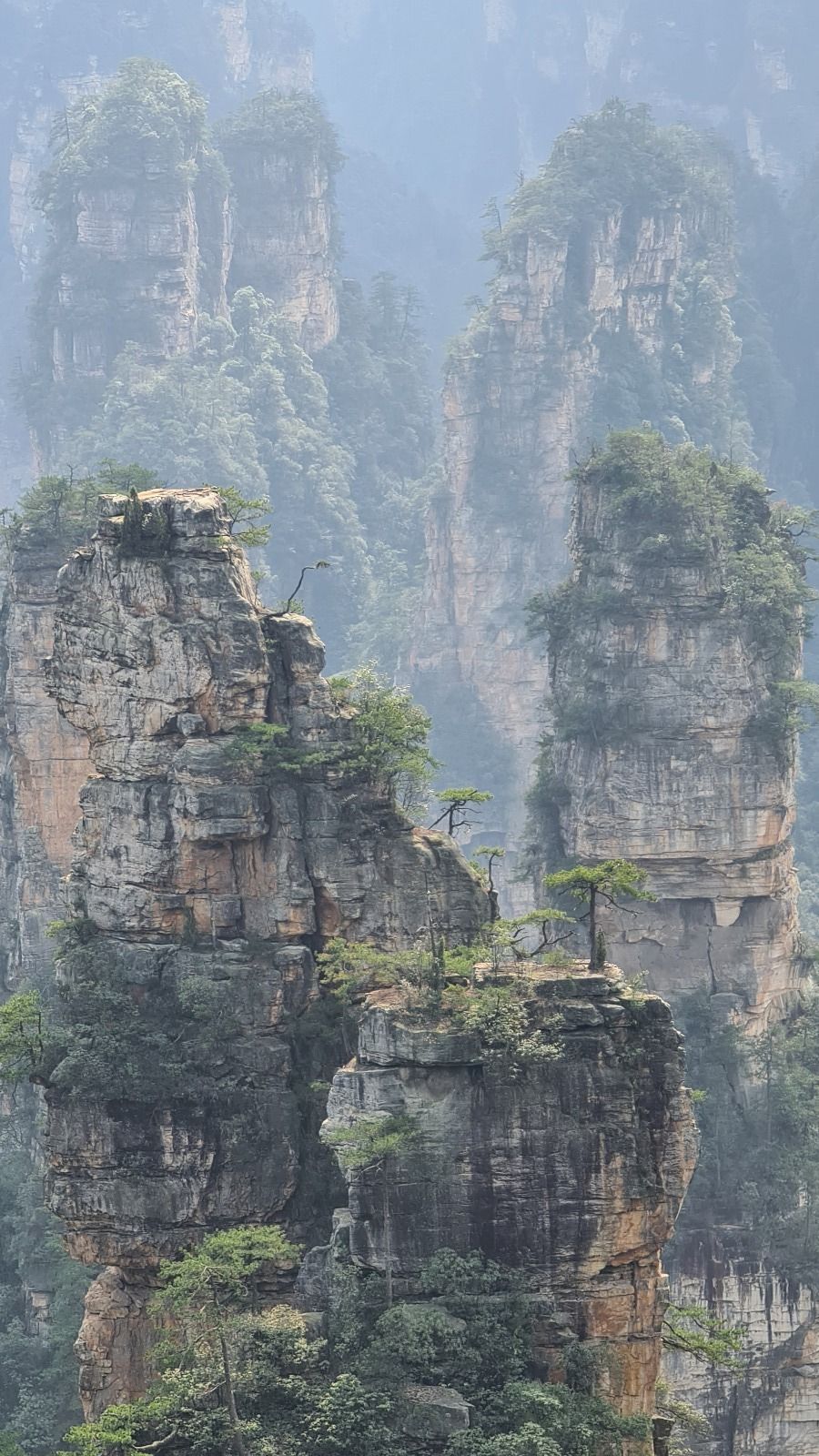 Formazioni rocciose alte, simili a pilastri, con alberi verdi in cima, che si ergono attraverso un paesaggio montano nebbioso.