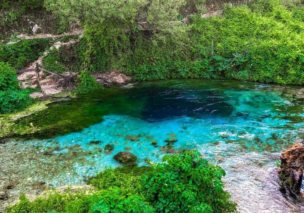 Una sorgente naturale di colore blu profondo con acqua turchese che sfocia in un fiume, circondata da fitti alberi e cespugli verdi.