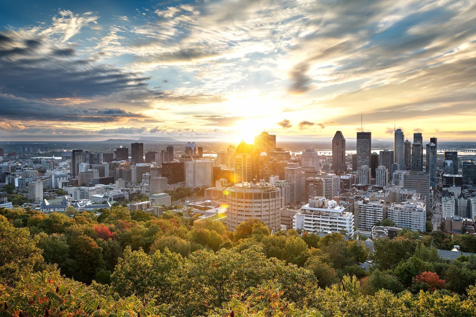 Une ligne d'horizon urbaine moderne avec des gratte-ciel vus depuis une forêt dense lors d'un coucher de soleil doré sous un ciel partiellement nuageux.