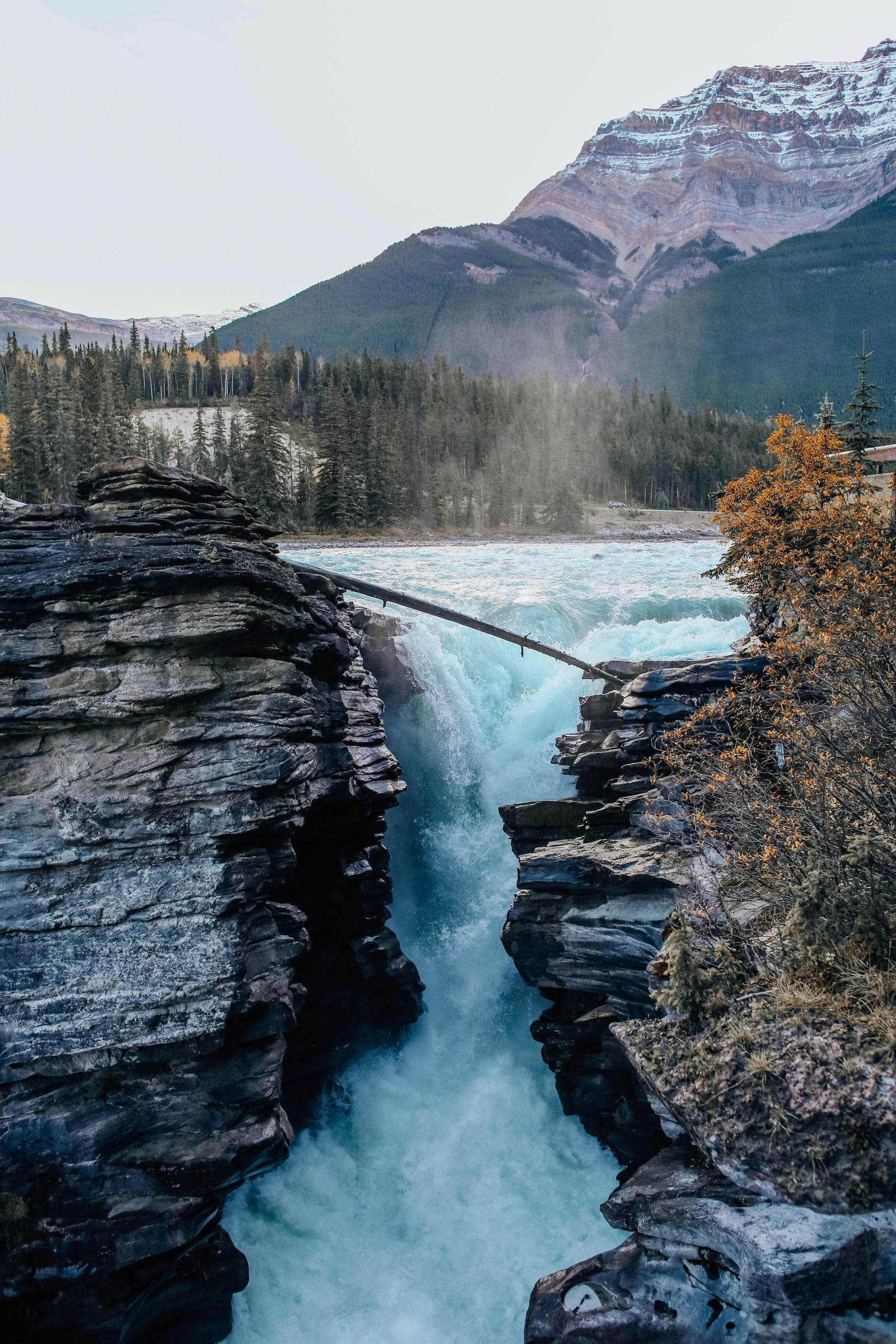 Une cascade turquoise se jette dans un étroit canyon rocheux, avec un tronc d'arbre tombé reposant au-dessus, et des montagnes boisées en arrière-plan.