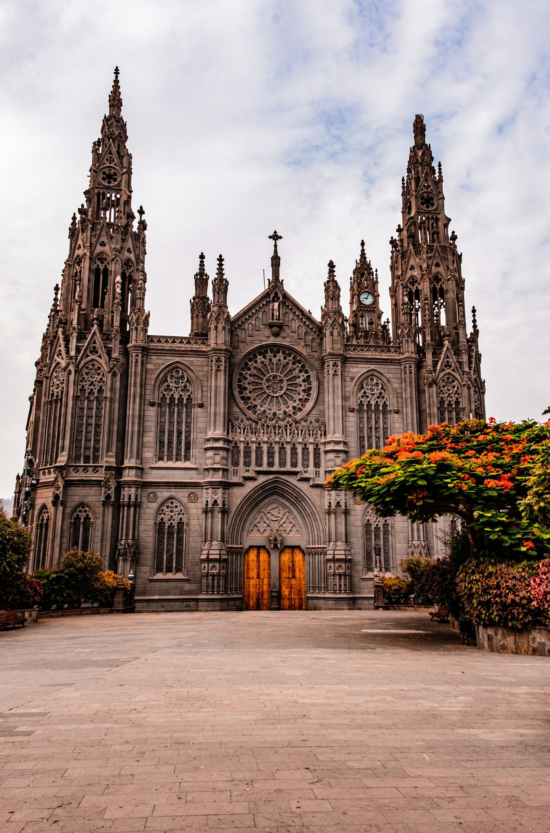 The facade of a Gothic-style cathedral with spires and a rose window, seen from a stone plaza with a flowering tree.