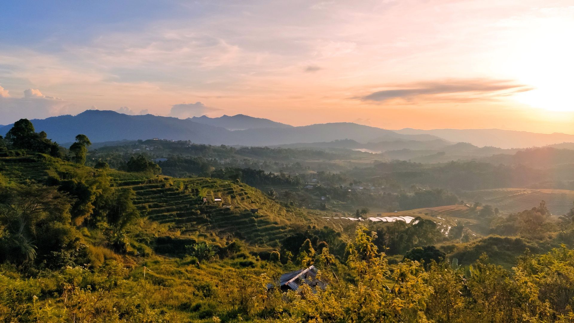 Ein Panoramablick auf grüne Terrassenhügel und nebelverhangene Berge während eines farbenprächtigen Sonnenaufgangs oder Sonnenuntergangs
