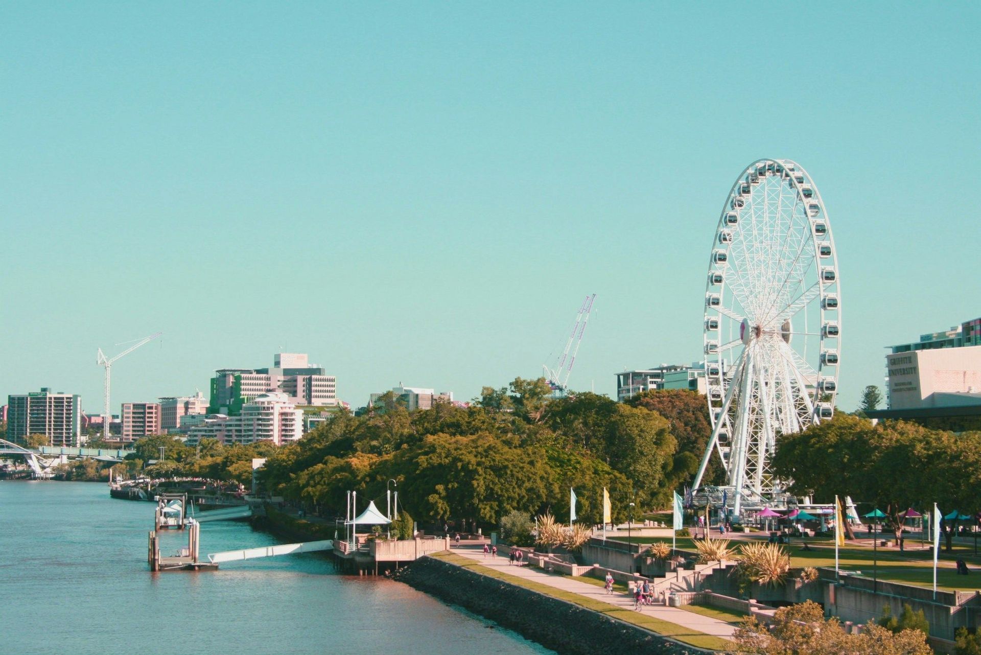 Une grande roue blanche se dresse sur les berges d'une ville, avec des gens se promenant sur une promenade bordée d'arbres verts luxuriants.