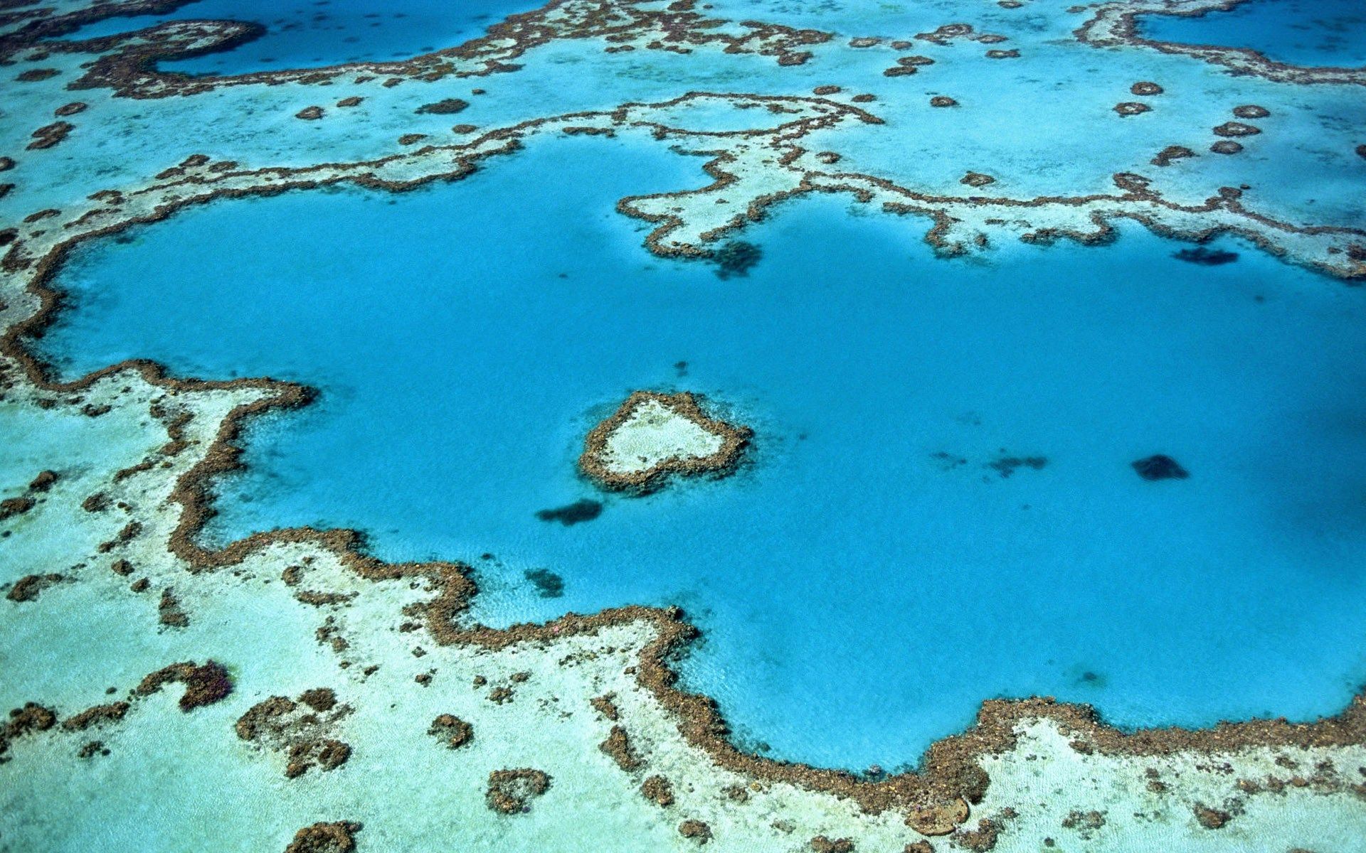Vue aérienne d'un récif corallien naturel en forme de cœur entouré d'eaux turquoise éclatantes et d'autres formations récifales.