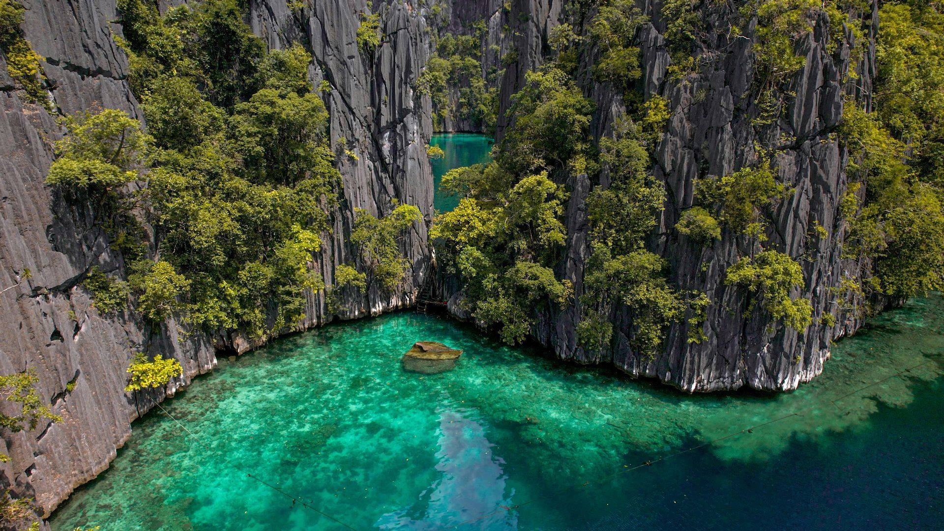 Una vista aerea di una caletta appartata con acqua cristallina e turchese, circondata da imponenti scogliere rocciose ricoperte di alberi.