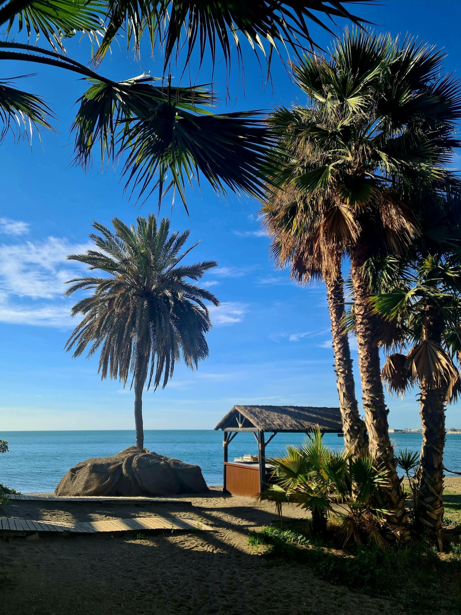 Palm trees on a sandy beach with a thatched-roof hut next to the ocean under a clear blue sky.