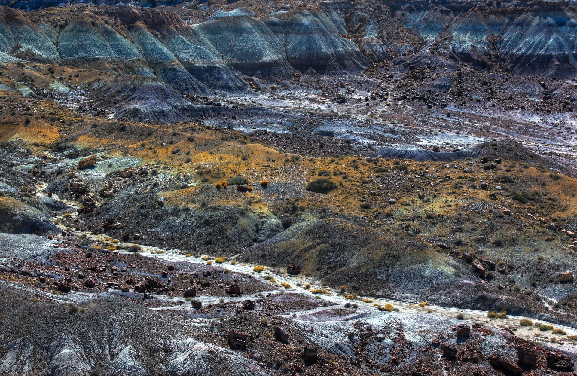 Un vasto paisaje de tierras baldías erosionadas con estratos coloridos de sedimento azul, gris y amarillo bajo la luz brillante del día.