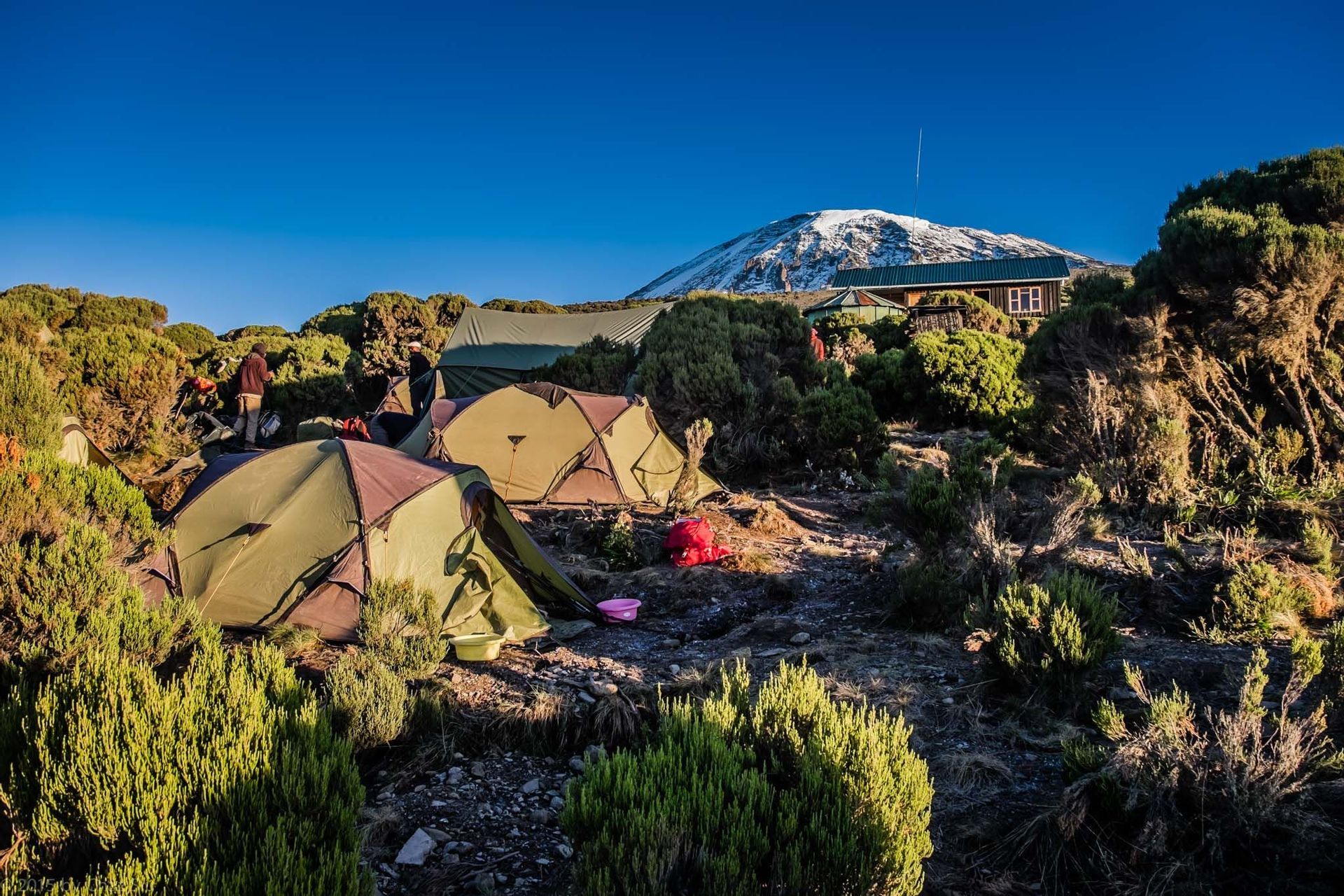 Tiendas de campaña de un viaje en grupo de WeRoad montadas en un campamento en un día soleado, con una montaña nevada de fondo.