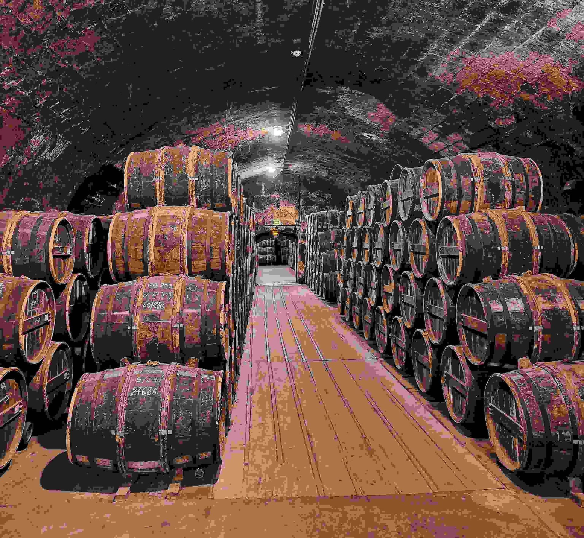 Filas de barriles de madera se apilan para añejar en una larga bodega de vinos con arcos de piedra y una pasarela de madera.
