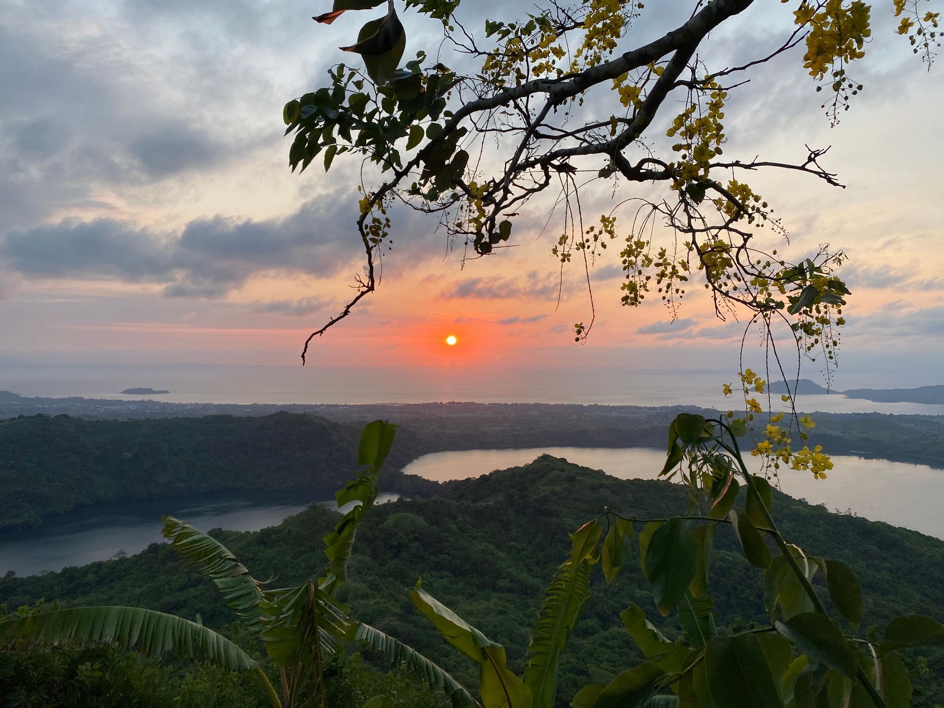 Vista di un tramonto sull'oceano da un punto elevato, sopra un paesaggio collinare verde con laghi, incorniciata da un ramo d'albero con fiori gialli.