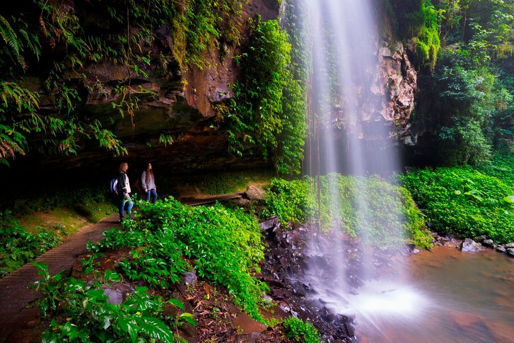 Dos personas de pie en un sendero estrecho detrás de una gran cascada en una gruta cubierta de exuberantes plantas verdes.