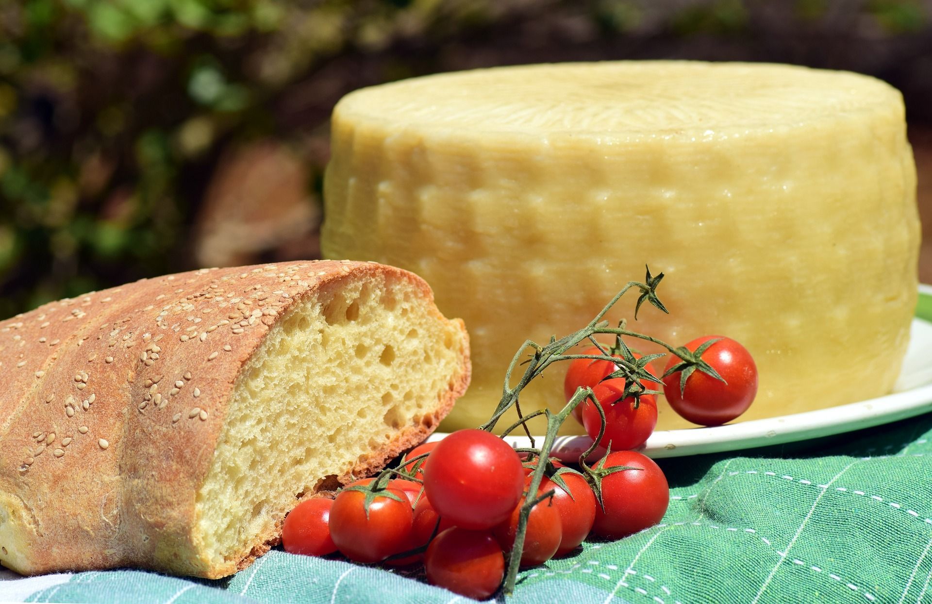 Una forma di formaggio, una pagnotta di pane al sesamo e pomodorini ciliegino su tralcio sono adagiati su una tovaglia a quadri verde all'aperto.