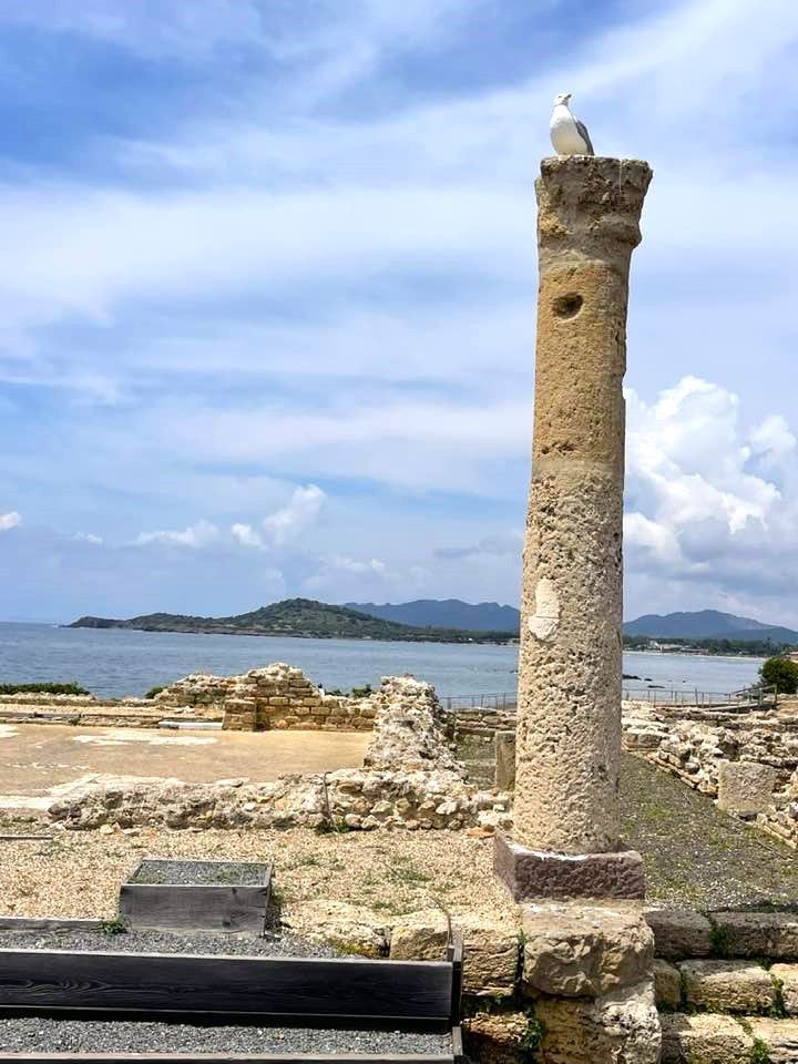 Una gaviota se posa en una columna de piedra erosionada en un sitio arqueológico con vistas al mar bajo un cielo parcialmente nublado.
