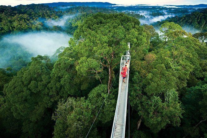 Veduta aerea di un gruppo WeRoad che cammina su un lungo ponte sospeso sopra una giungla nebbiosa.