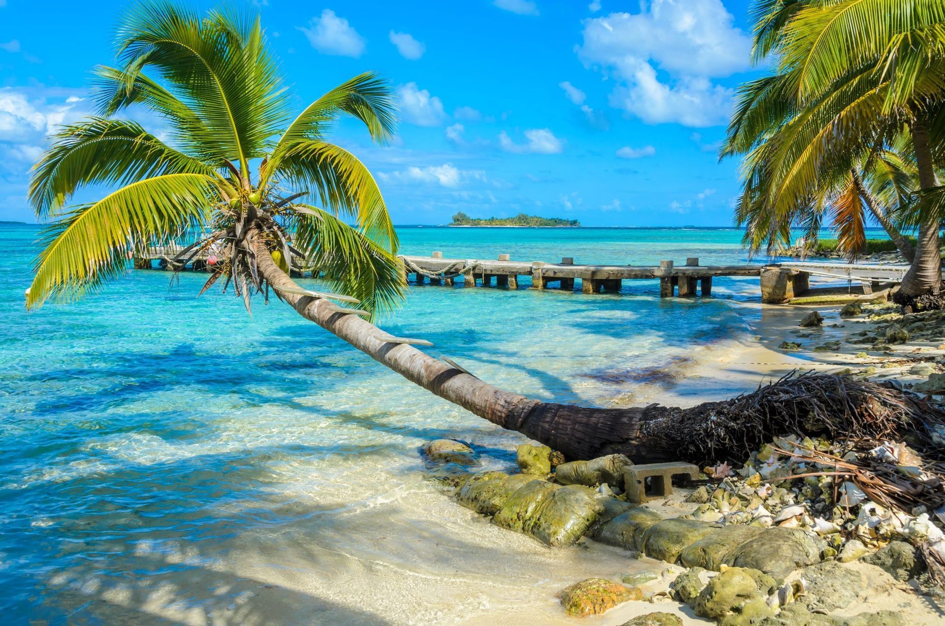 Un palmier penche sur une eau turquoise et limpide sur une plage de sable, avec un ponton en bois et une petite île en arrière-plan.