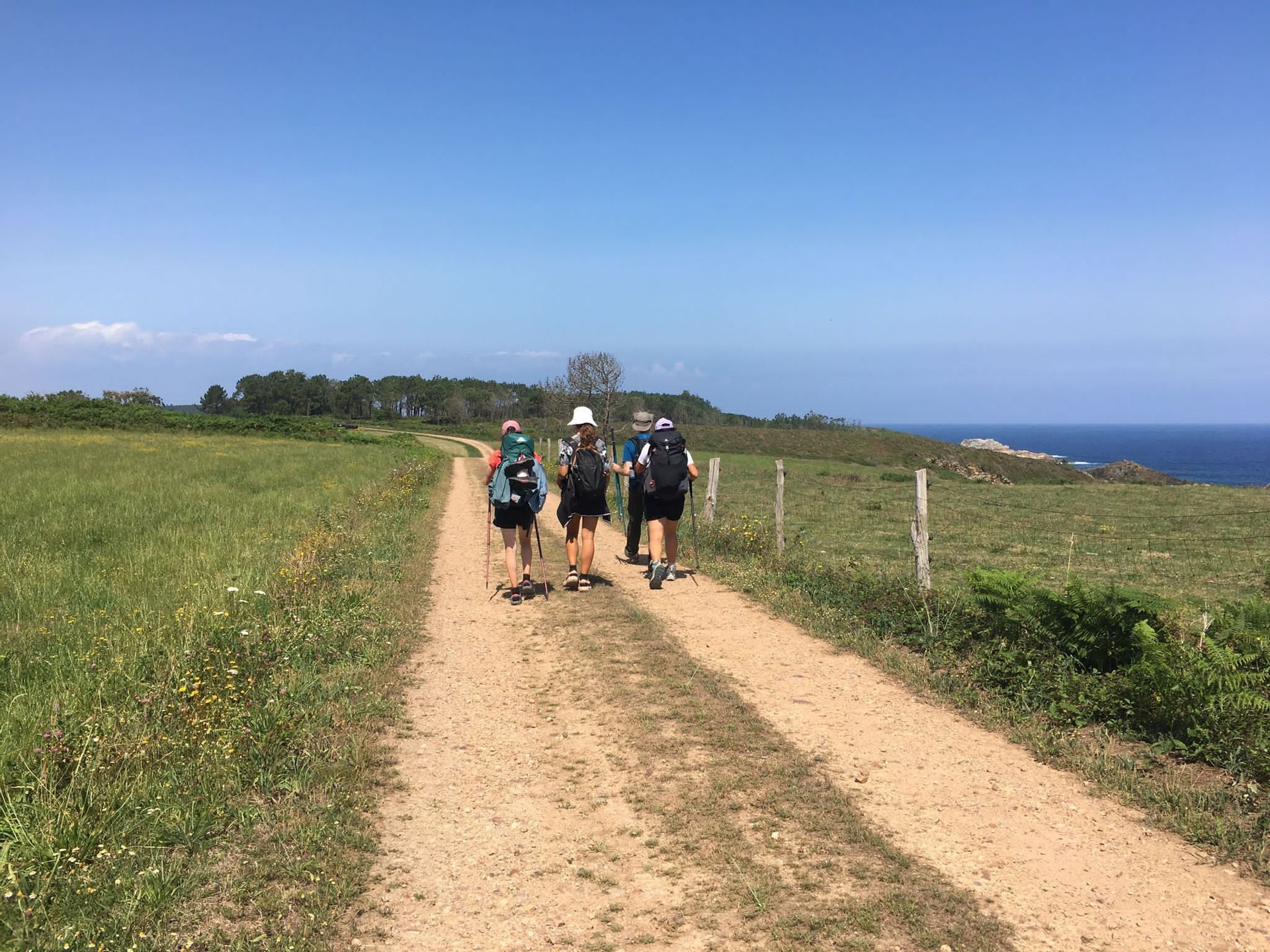 Un viaggio di gruppo WeRoad in escursione con zaini e bastoncini su un sentiero sterrato lungo una costa erbosa sotto un cielo azzurro e limpido.
