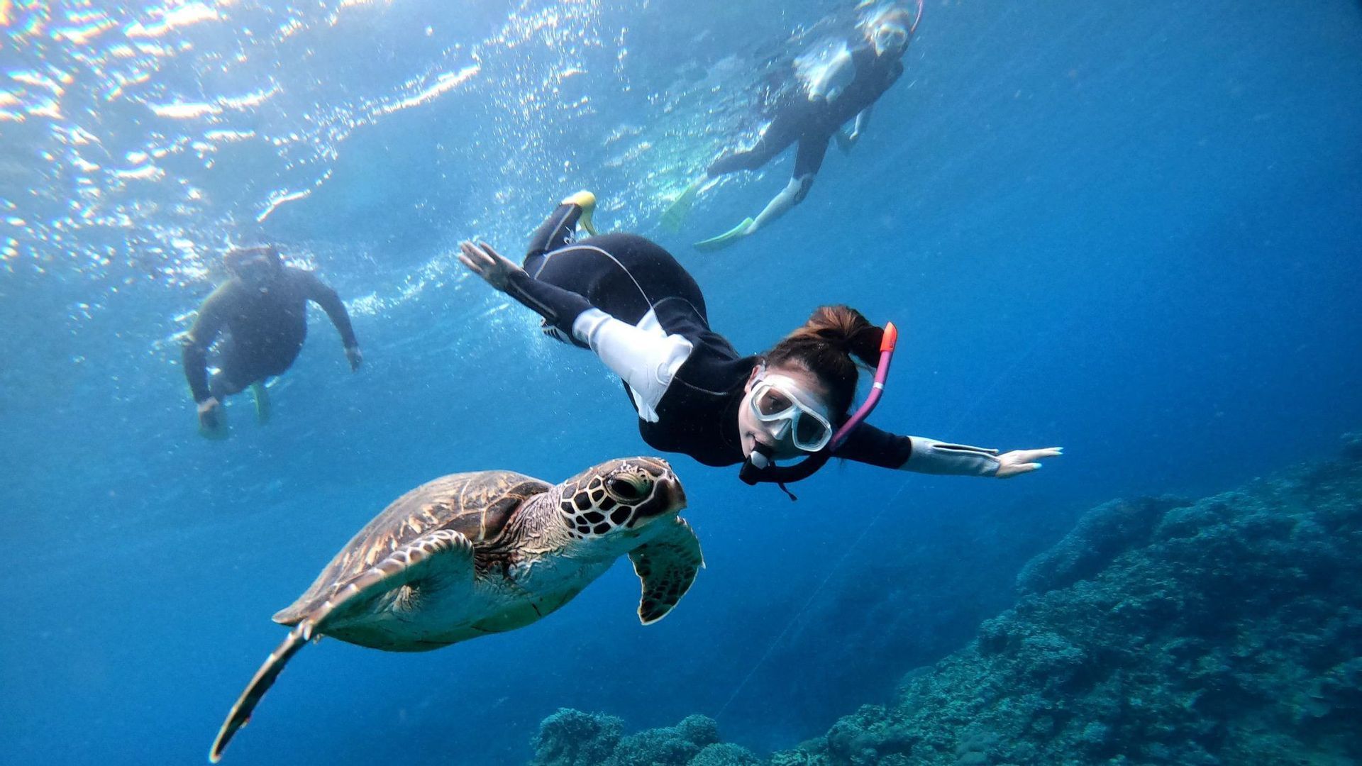 Una donna in viaggio di gruppo WeRoad fa snorkeling sott'acqua accanto a una grande tartaruga marina, sopra una barriera corallina.