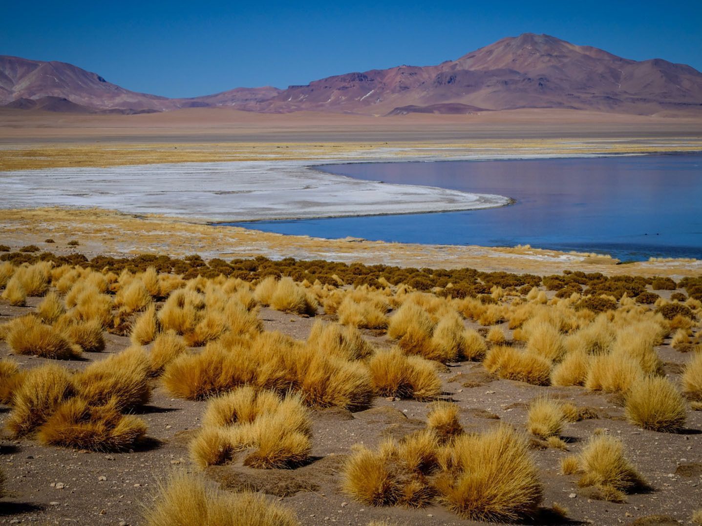viaggio-cile-bolivia-tour-13-giorni.jpg