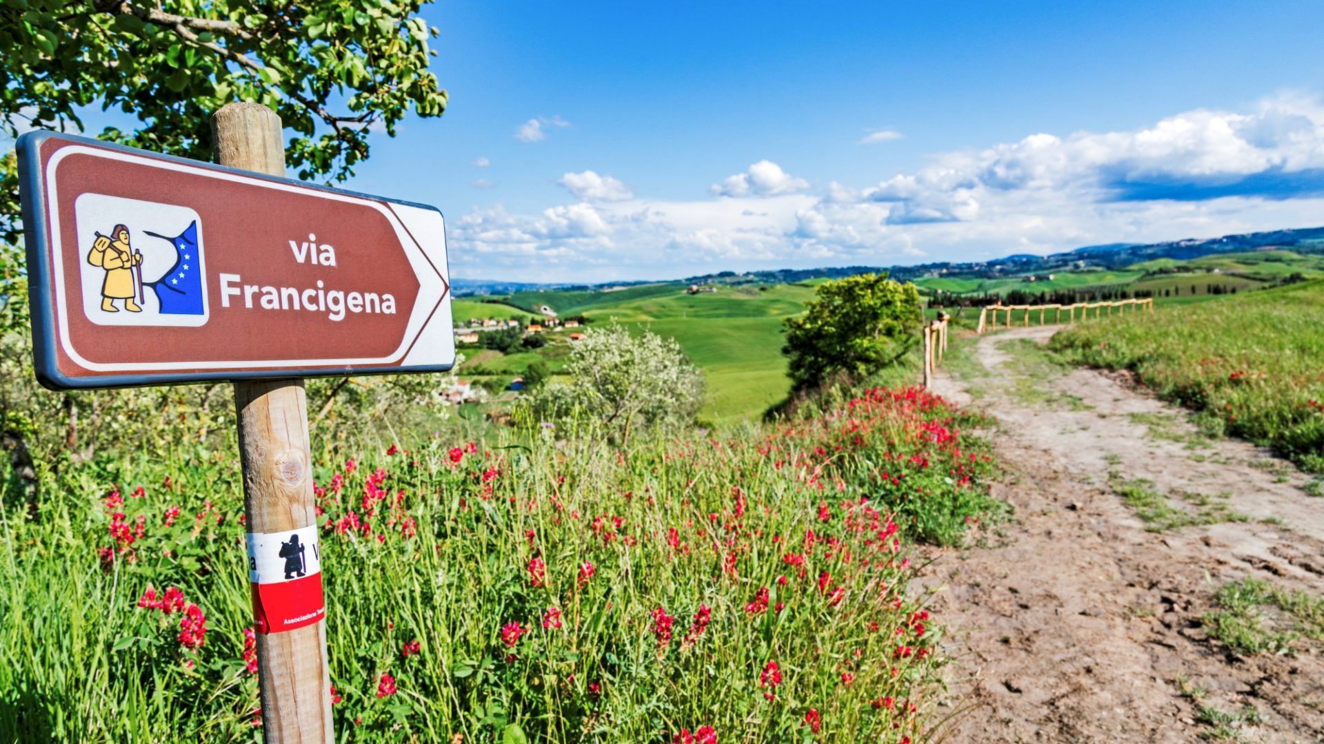 Un segnale per la Via Francigena indica un sentiero sterrato attraverso dolci colline verdi punteggiate di fiori selvatici rossi.