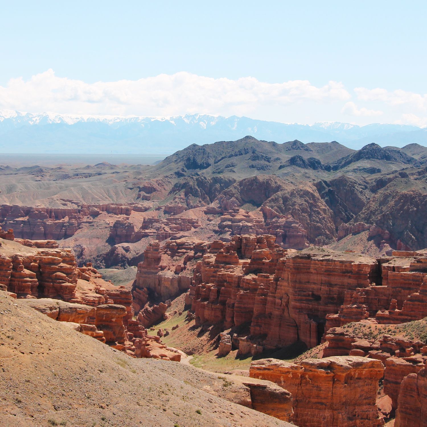 A vast red rock canyon with layered formations, with a distant snow-capped mountain range under a pale blue sky.
