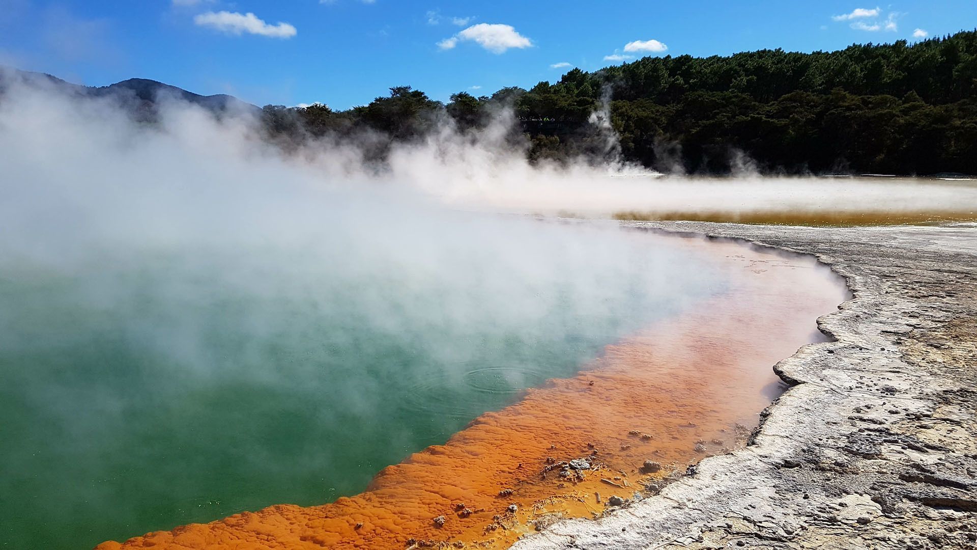 Steam rises from a geothermal pool with vivid green and orange water, bordered by a rocky shore with a forest in the background.