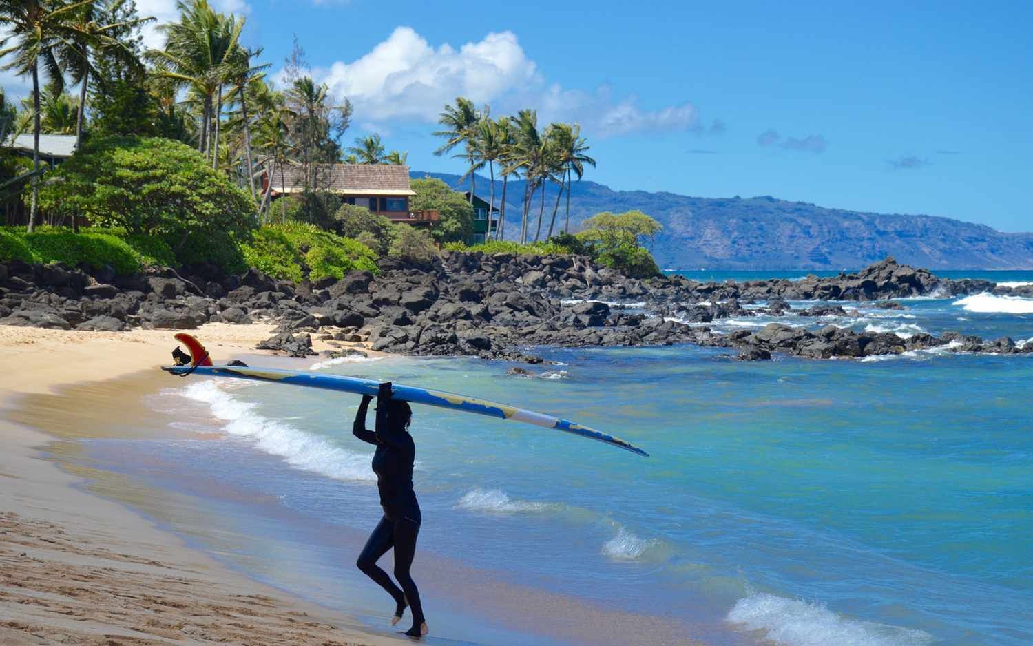 Una persona in muta trasporta una longboard sulla testa lungo la riva di una spiaggia tropicale con palme.