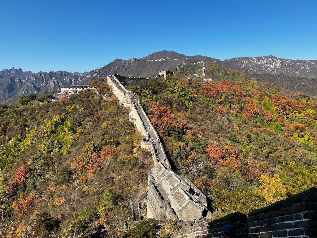 La Grande Muraglia Cinese si snoda tra montagne coperte da un foliage autunnale colorato sotto un cielo azzurro brillante.