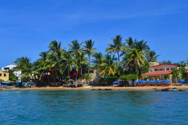 Una vista dall'acqua di una costa tropicale con una spiaggia sabbiosa, palme ed edifici sotto un cielo azzurro limpido.